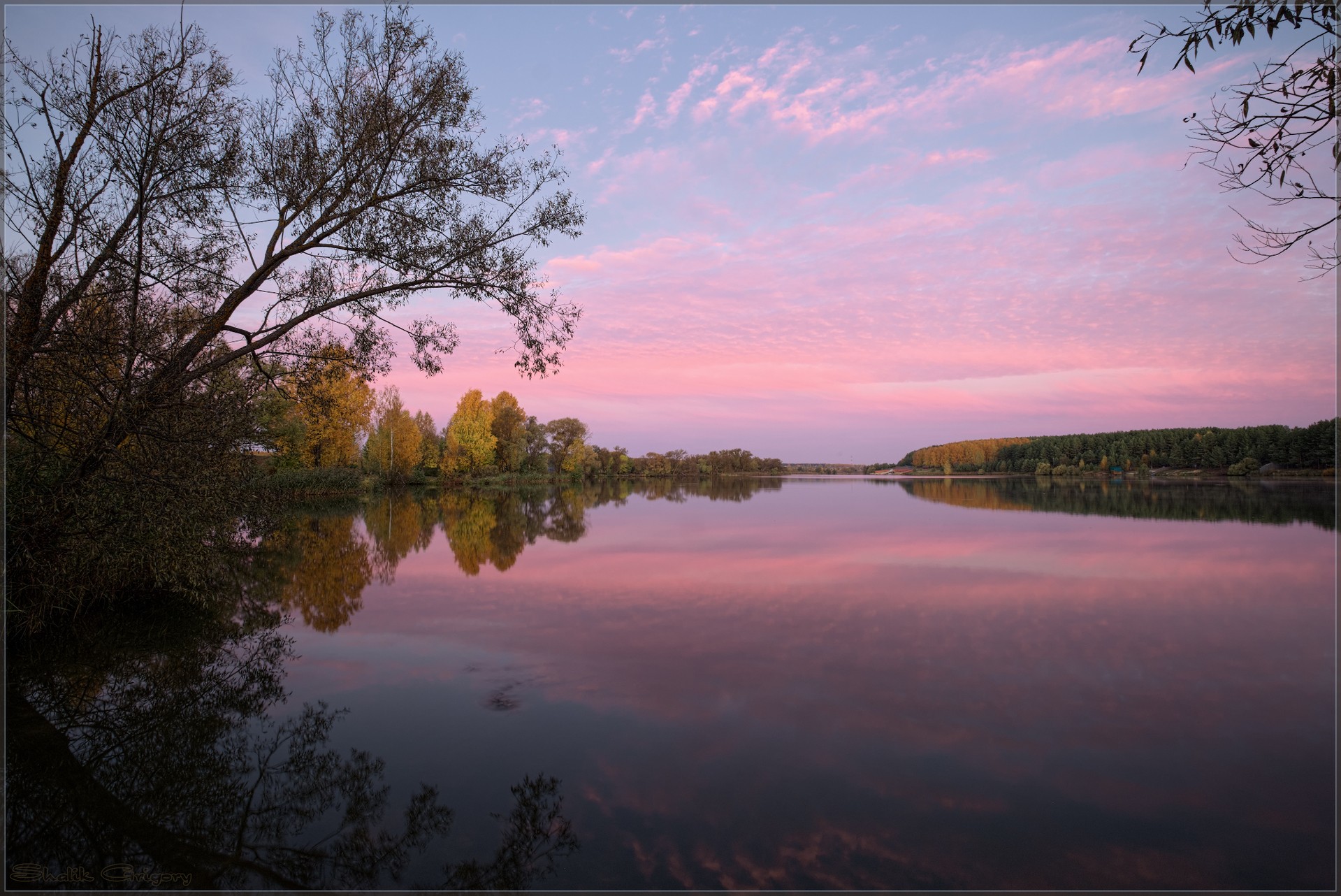 Заряница