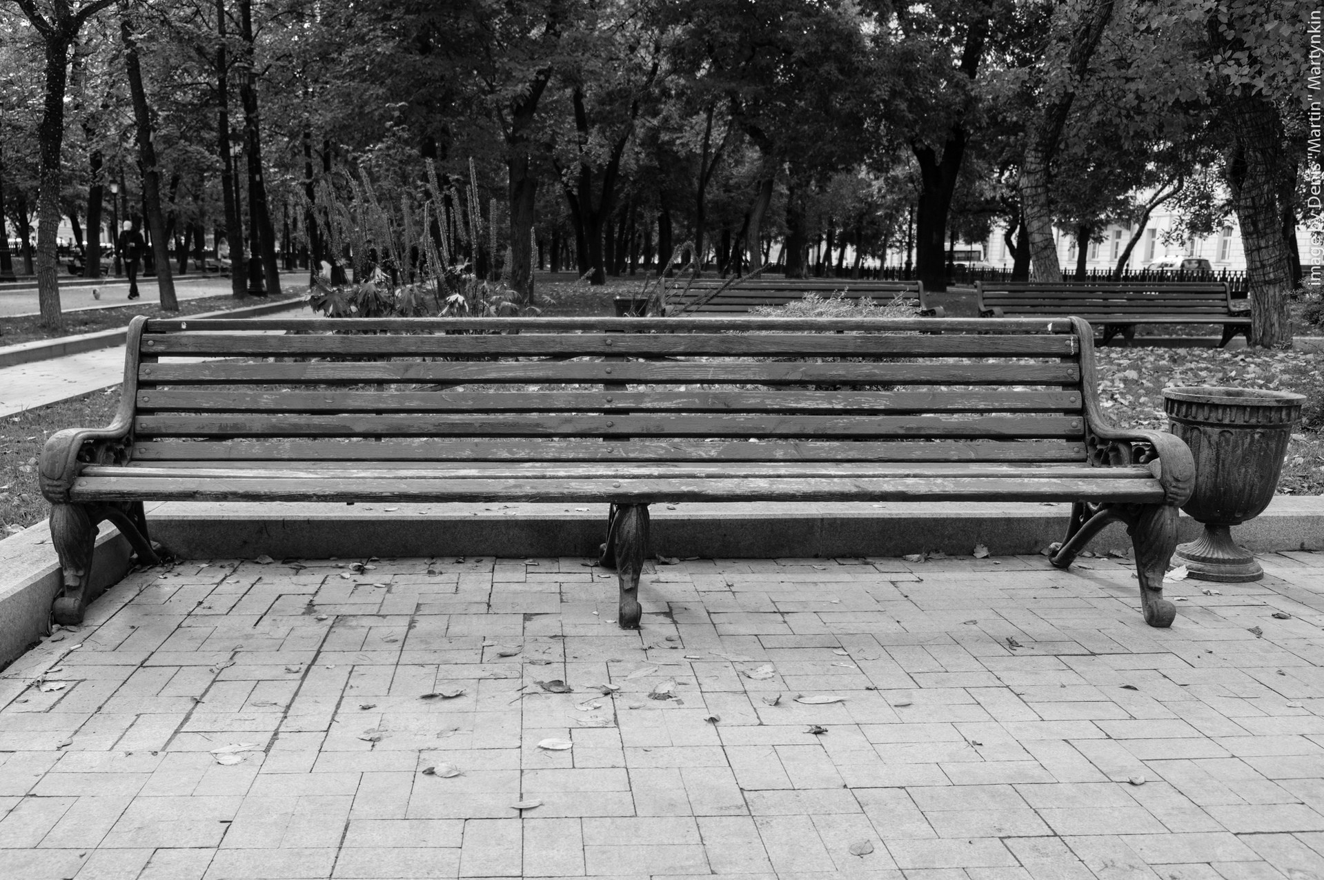 The Bench // Концептуальное