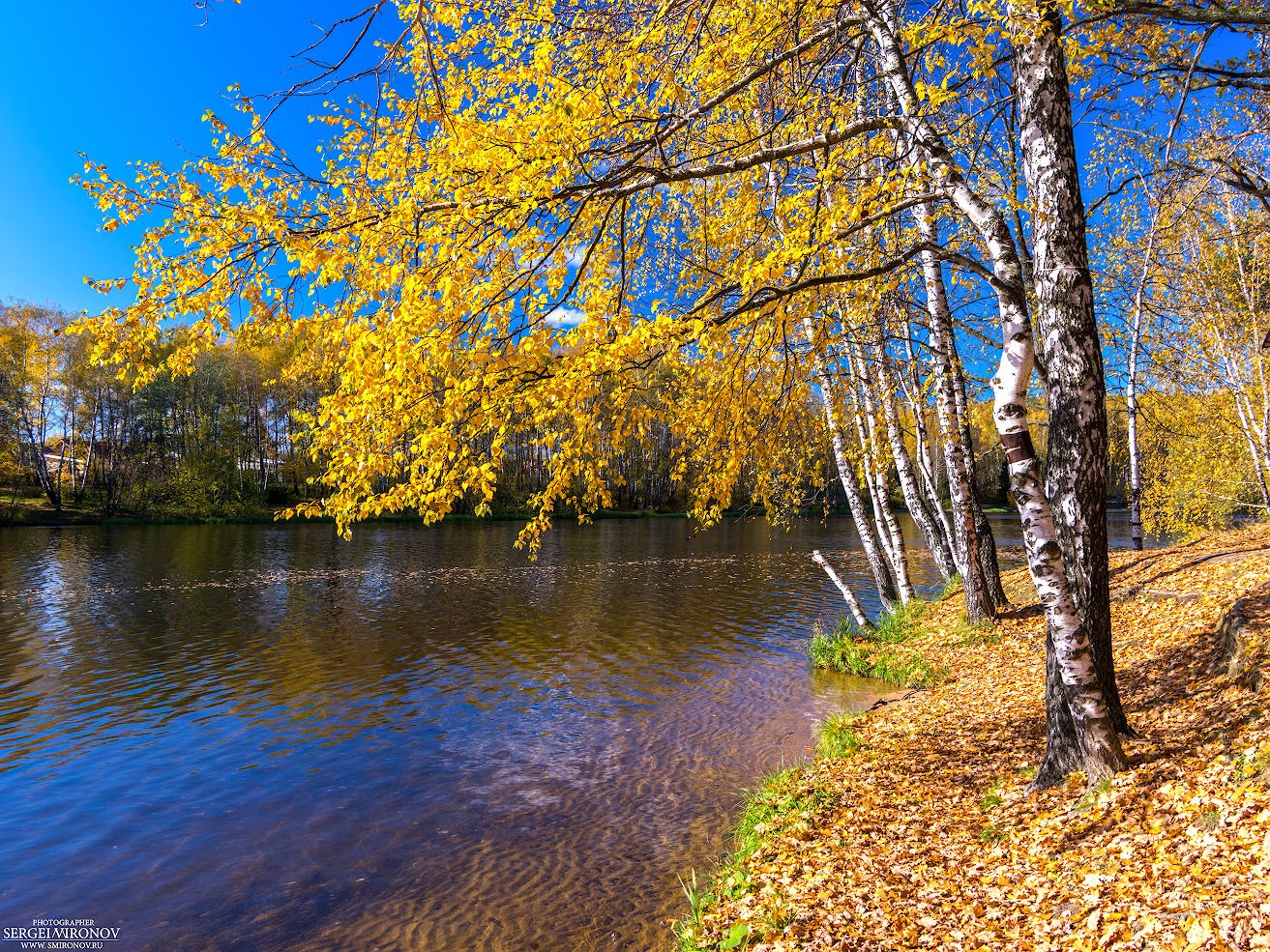 Осень. Пироговской водохранилище