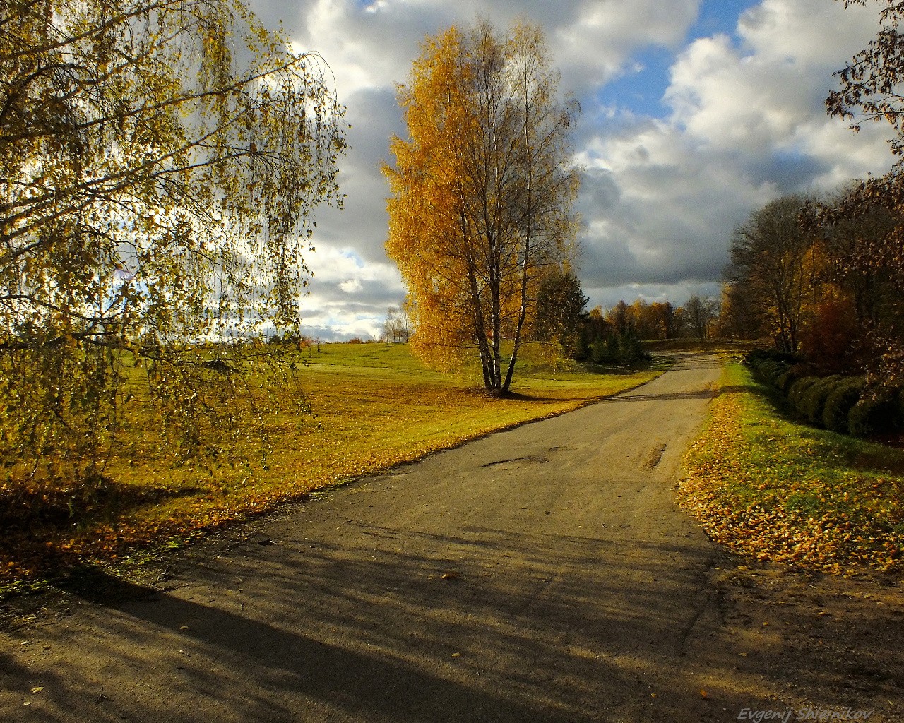 Дорога в осень.