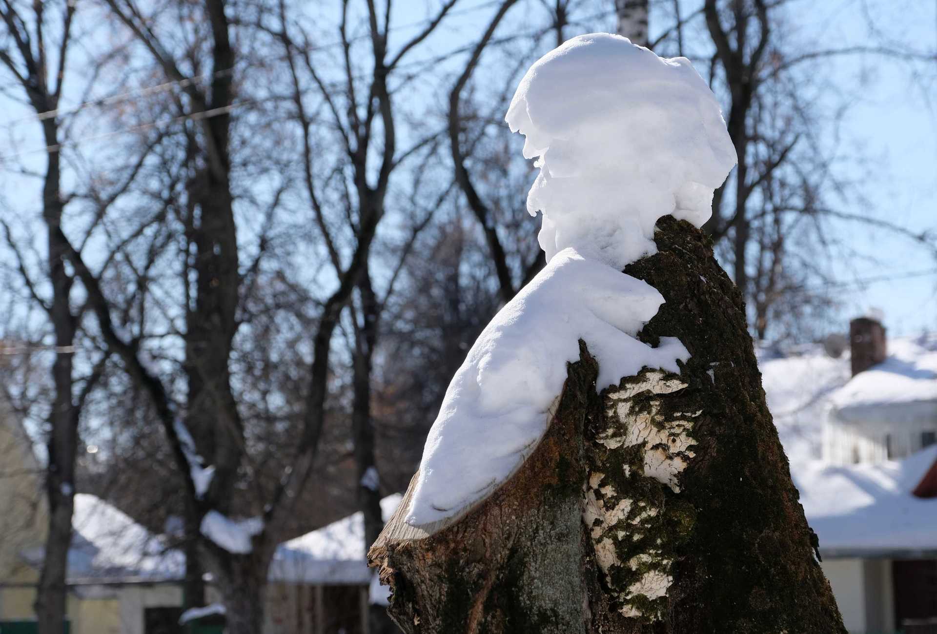 Весной оттаивают даже самые суровые...