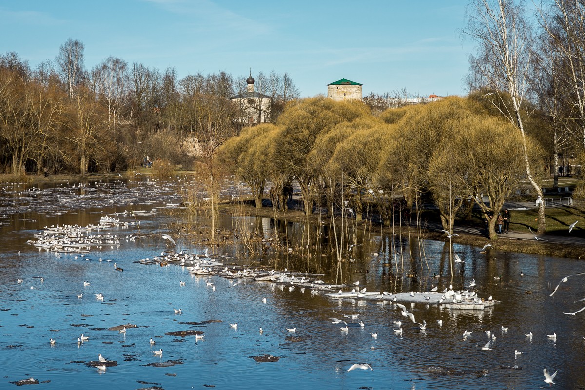 Псков, весна.