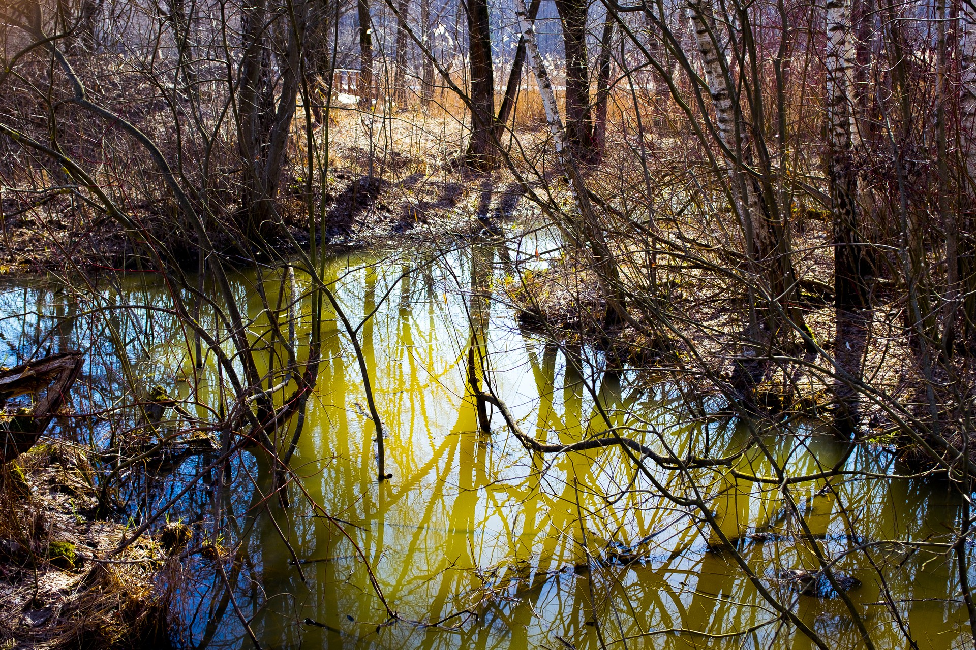 Талая вода