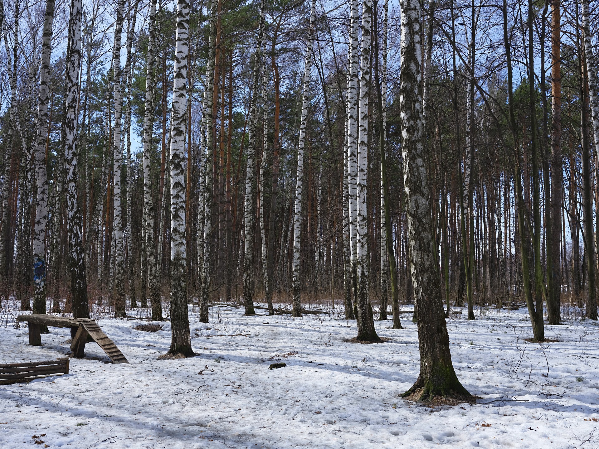 Весна в Мытищах