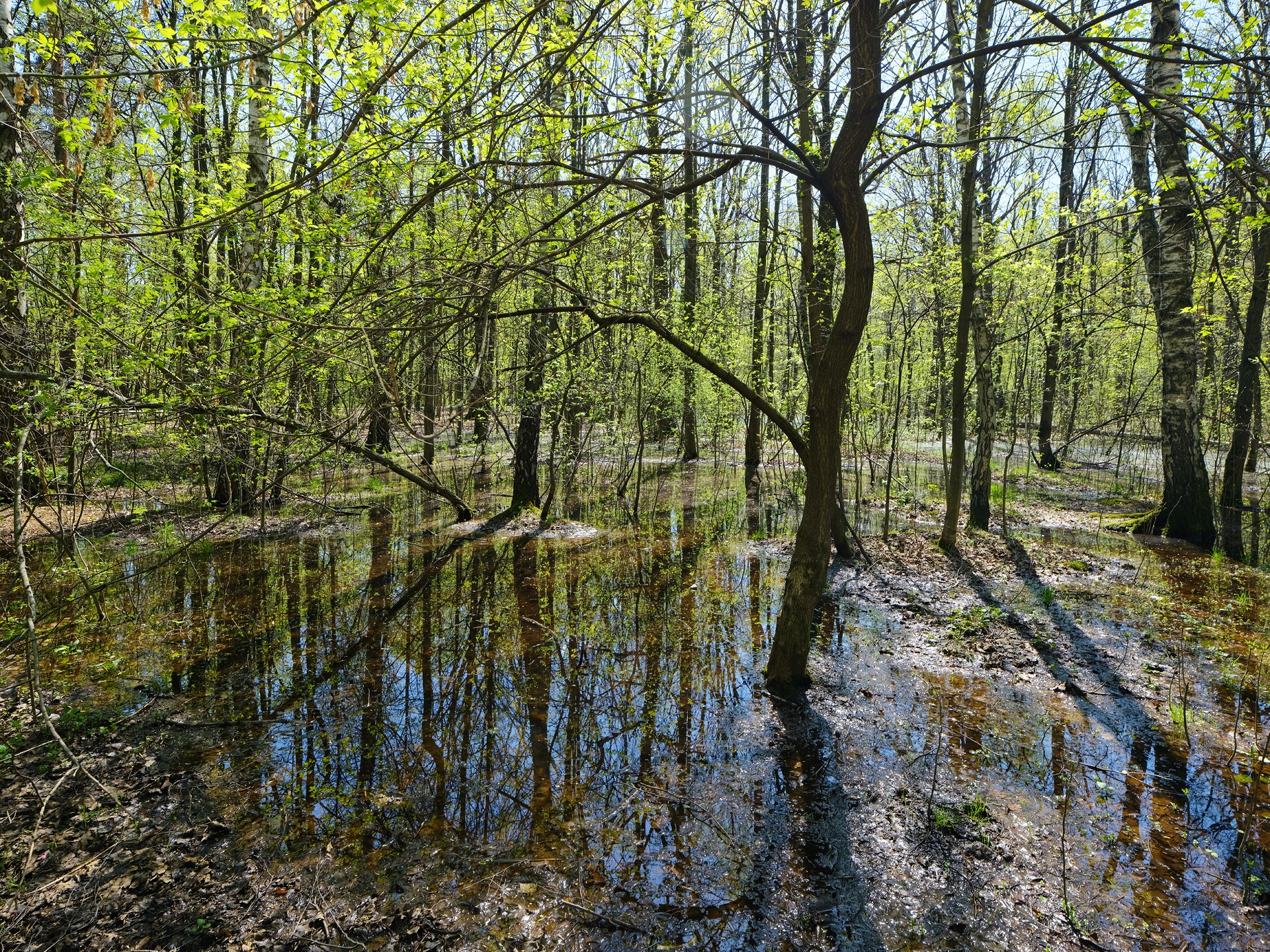 В Филевском парке