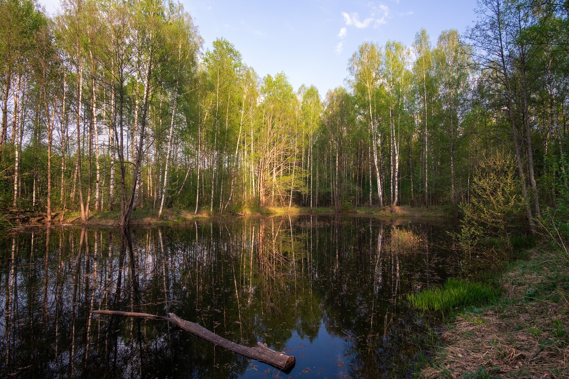 Борисово, озеро фото.