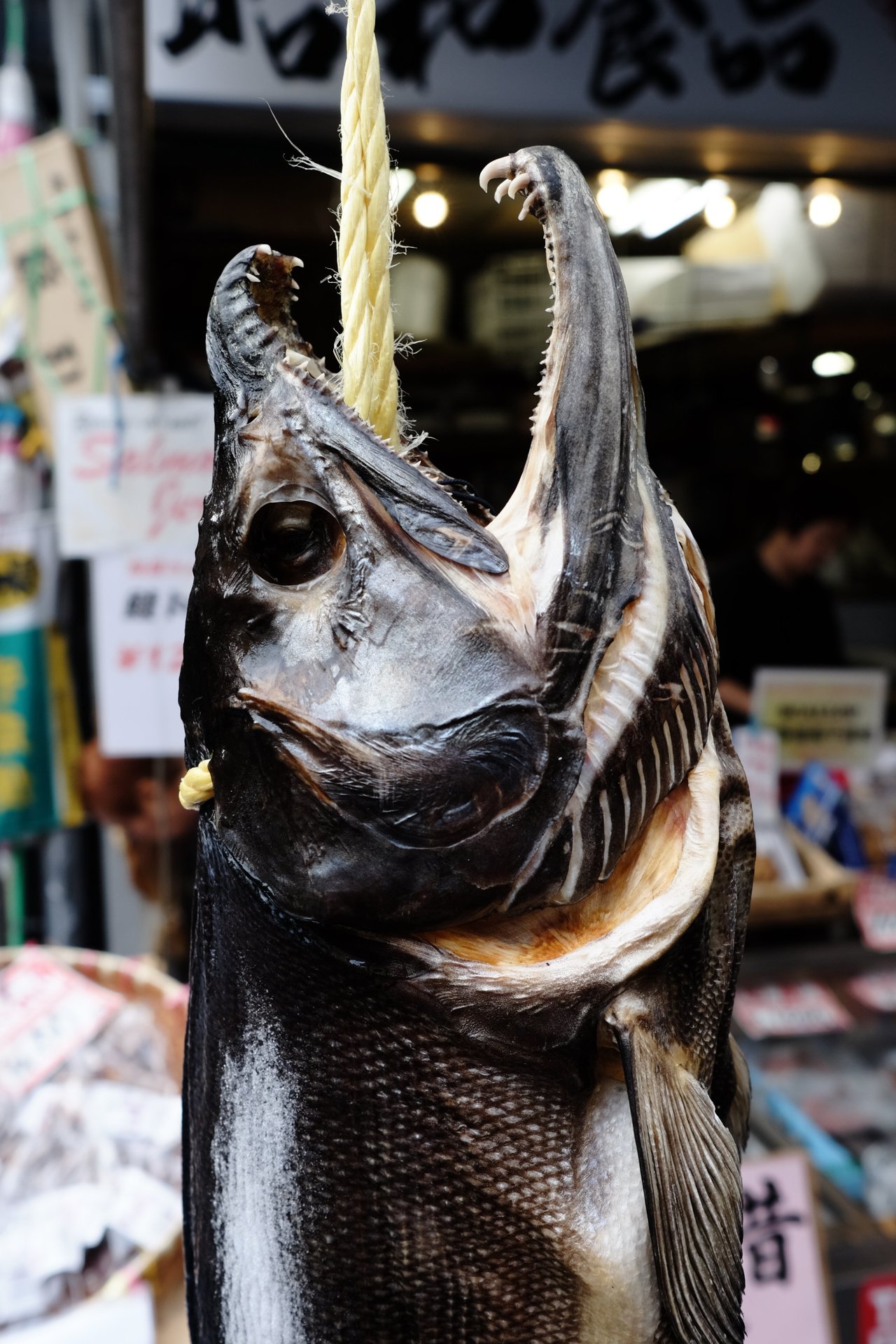 Tokyo Tsukiji