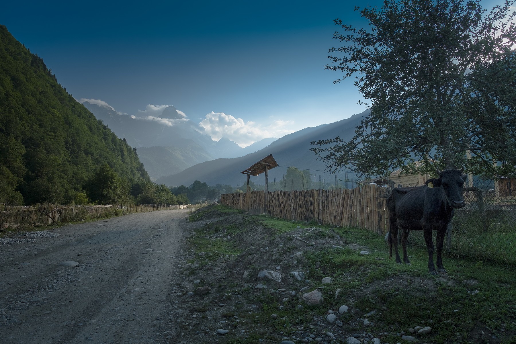 Сванетия село Мазери , на дальнем плане гора Ушба.