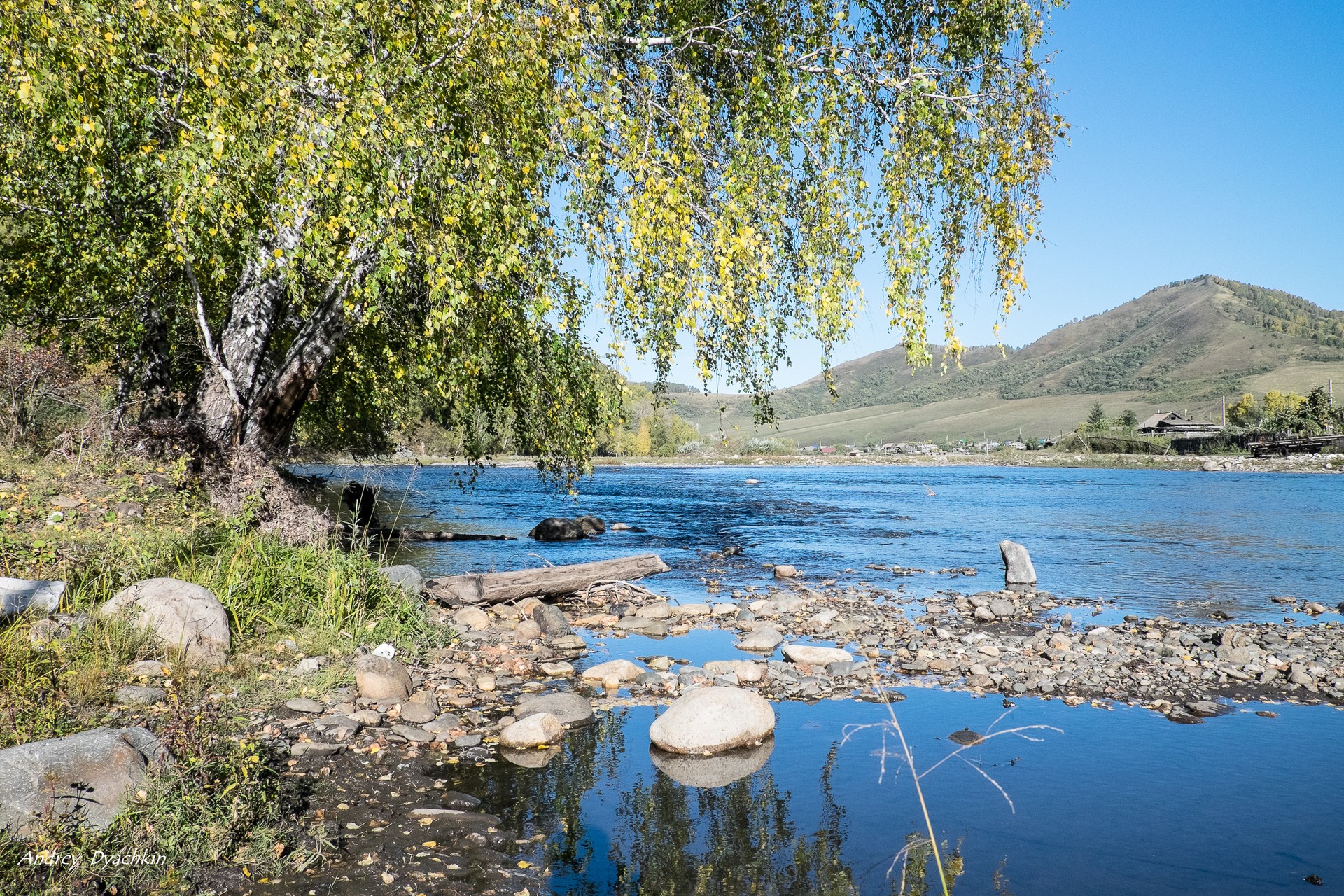 Ануй фото бийск