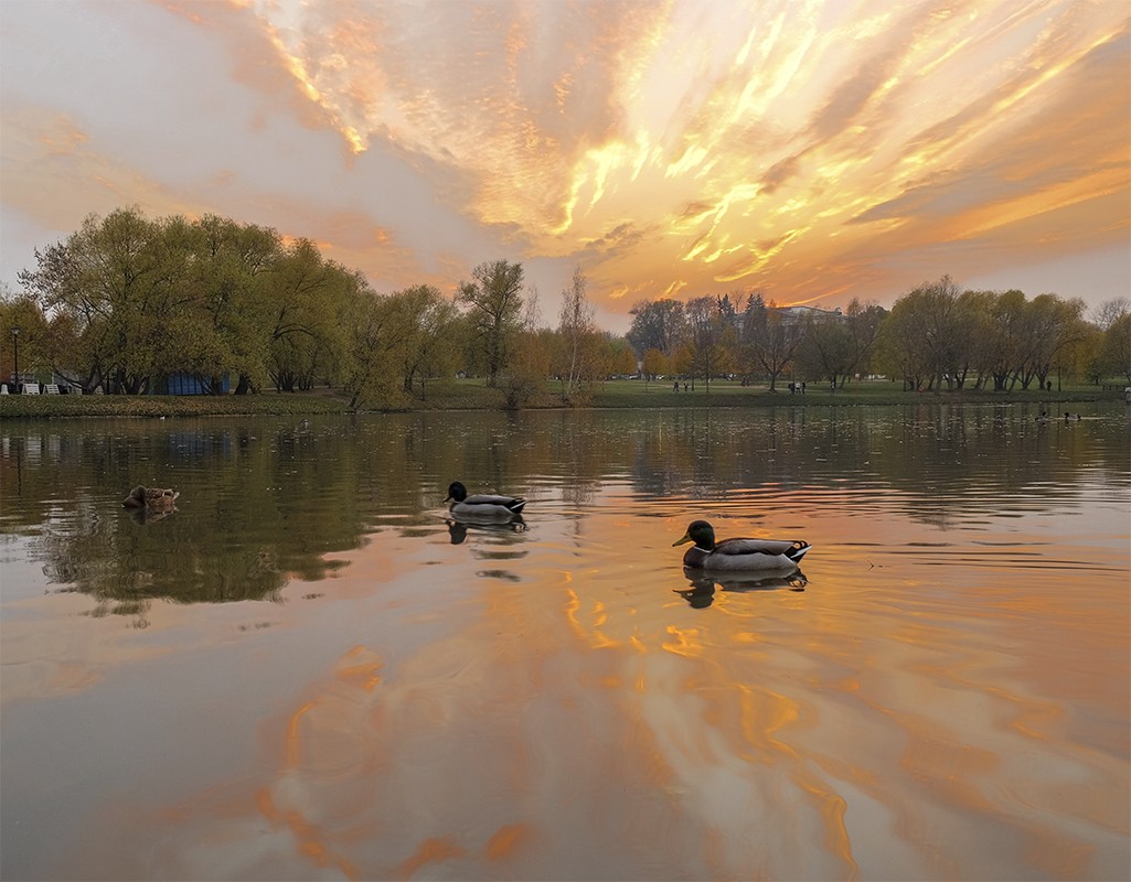 Закатное