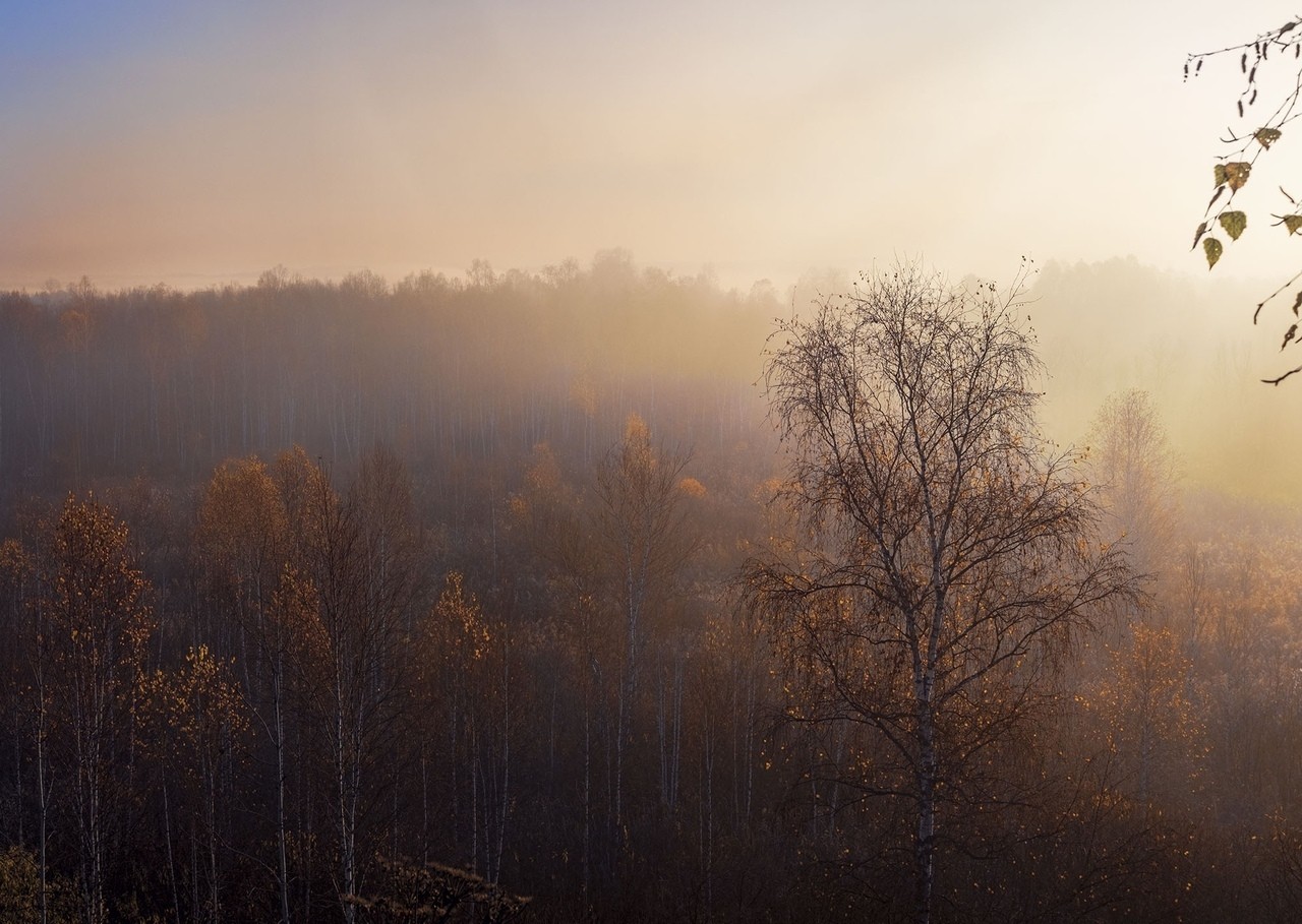 Осень