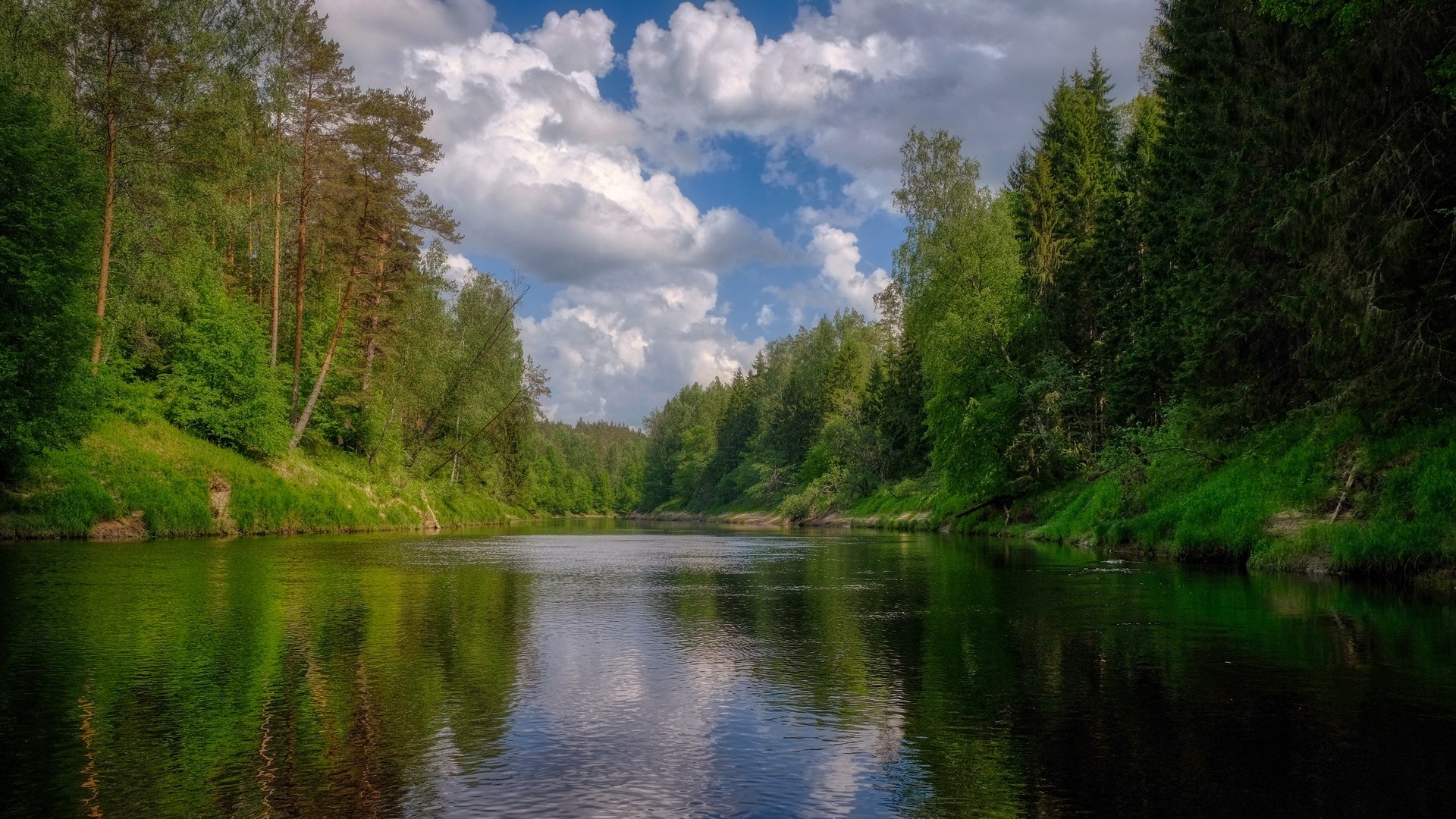 Река Плюсса