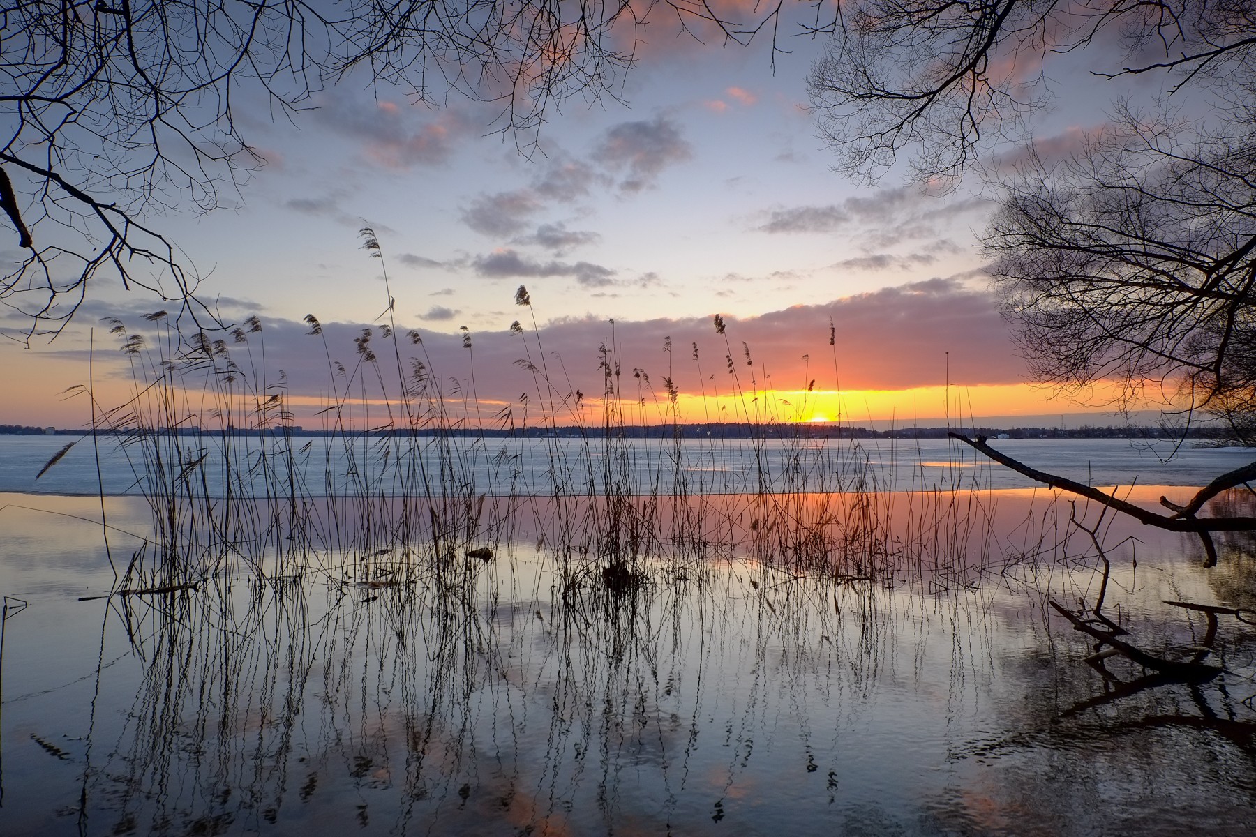 Озеро сенеж. Сенежское водохранилище Солнечногорск. Сенежское озеро. Озеро Сенеж зима Солнечногорск.