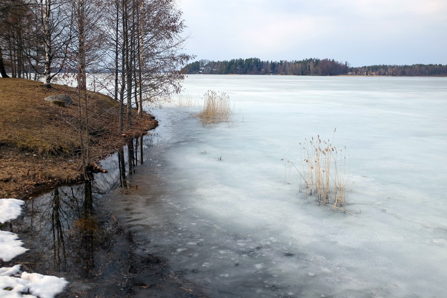 весна 2019