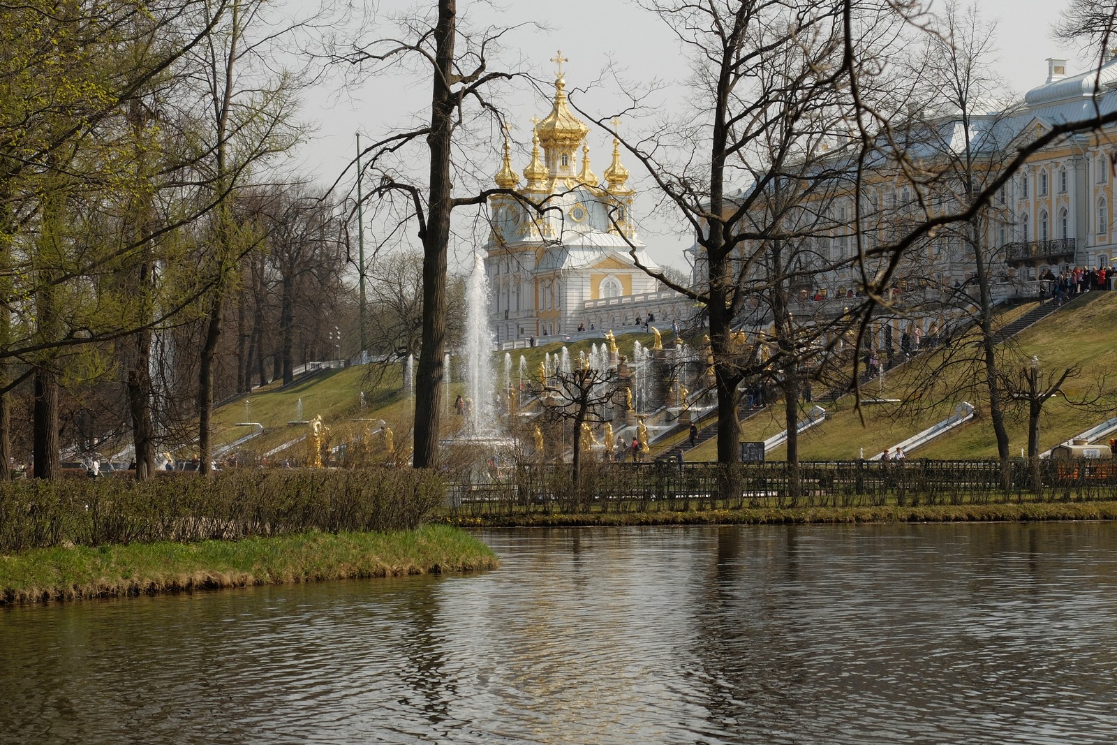 Пока нет листвы