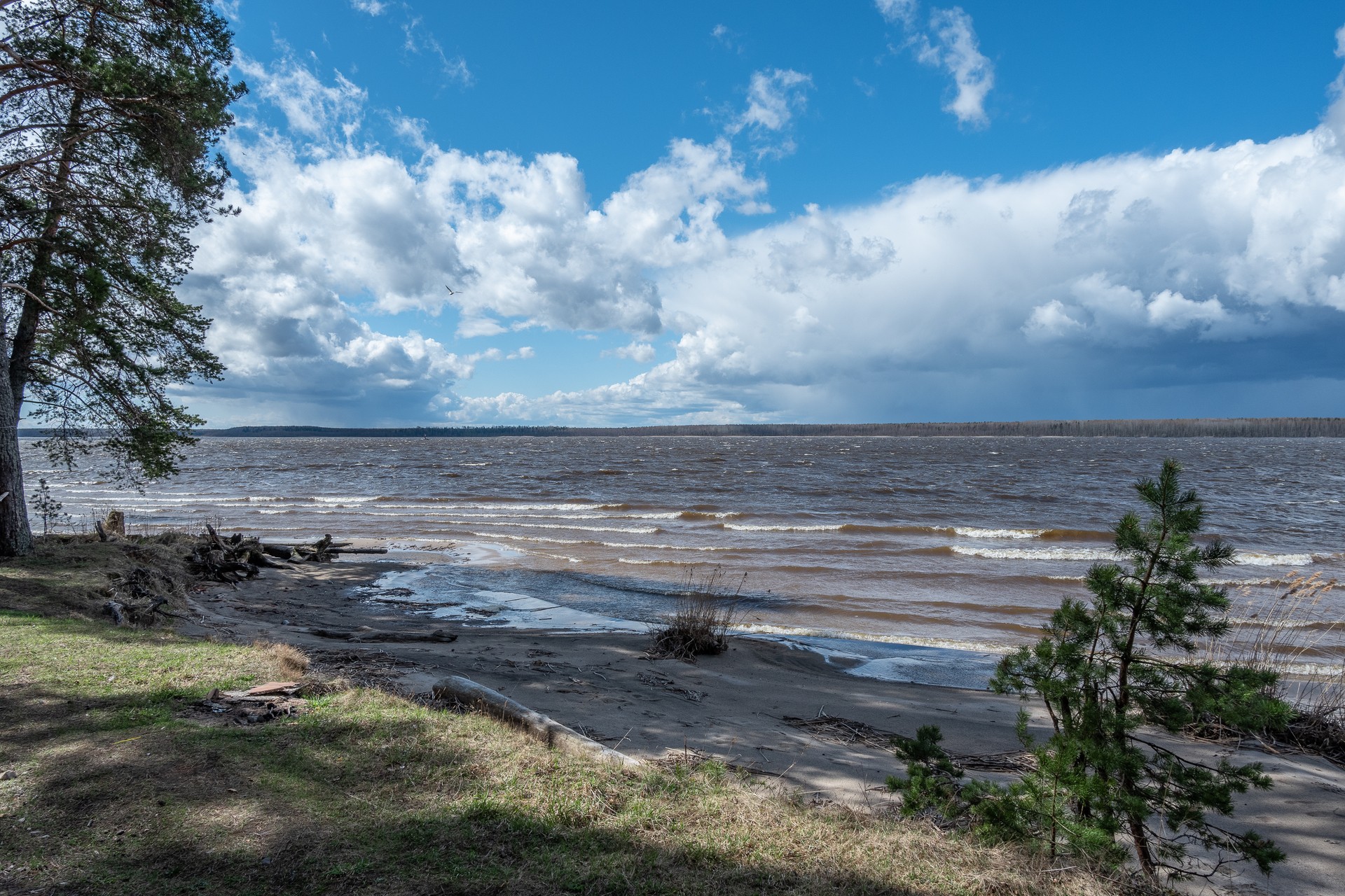 Берега Шекснинского водохранилища