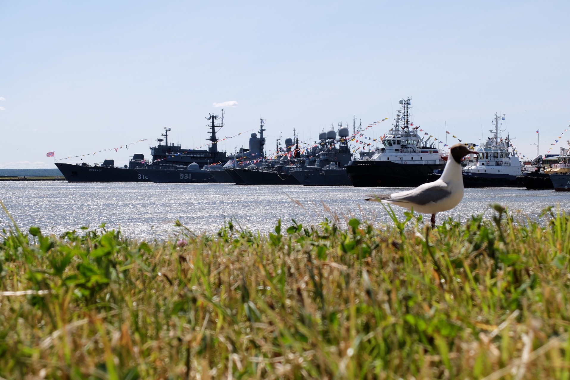 Кронштадт "Армия 2019"