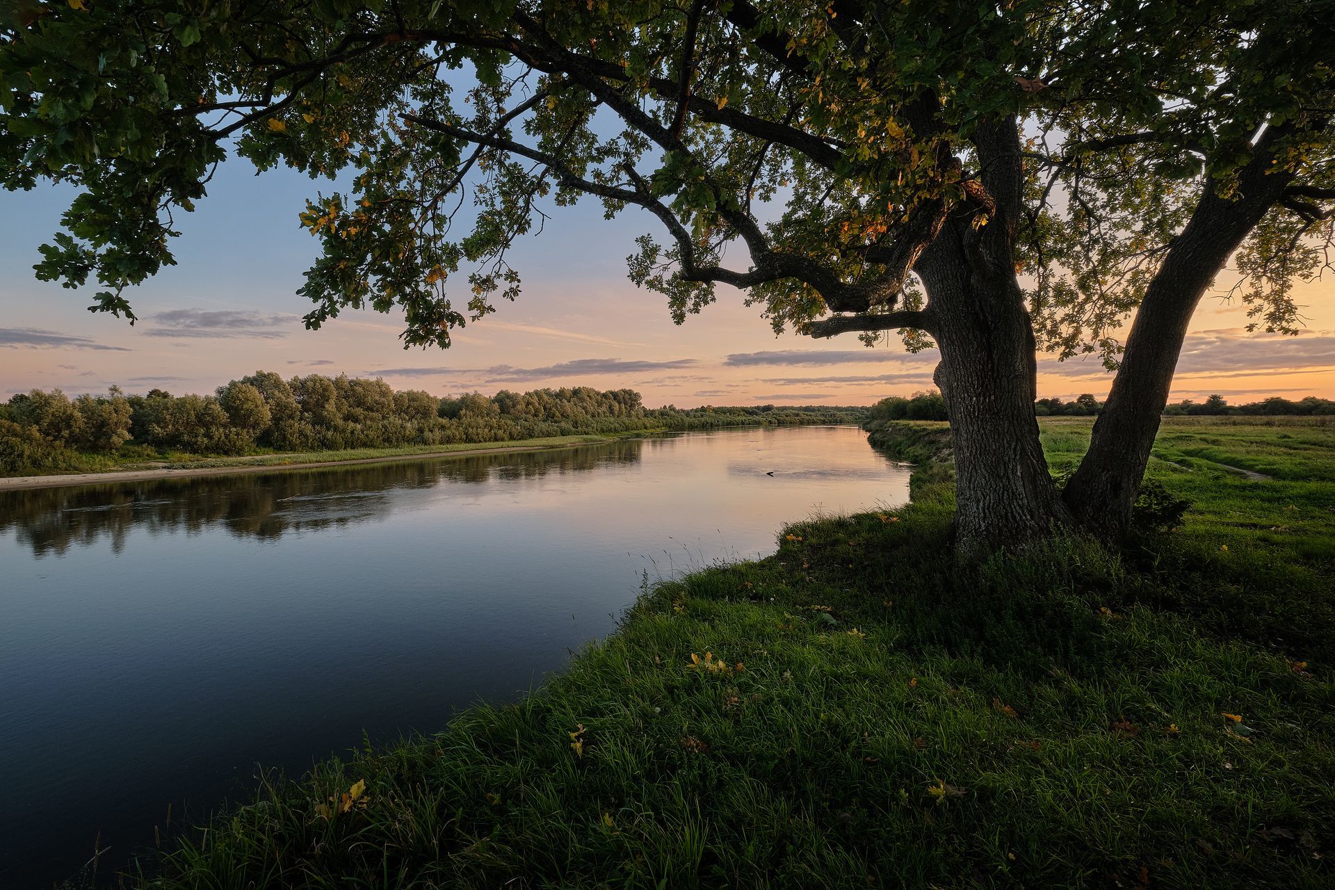 Пейзаж берег реки. Природа у реки Клязьма. Река Клязьма Нижегородская область. Река Клязьма пейзажи. Берег реки Клязьмы.