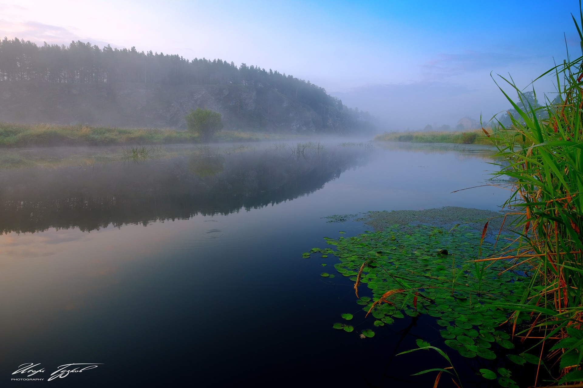 утро. река