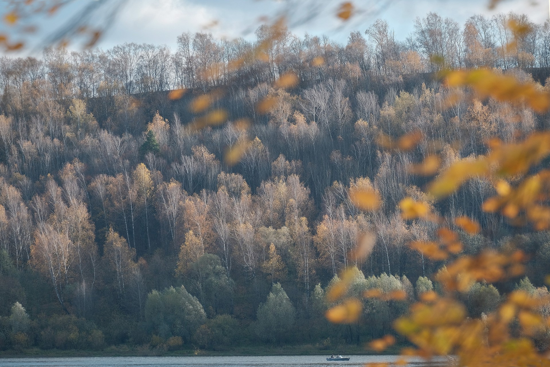 Правый берег р.Оки.Осень.