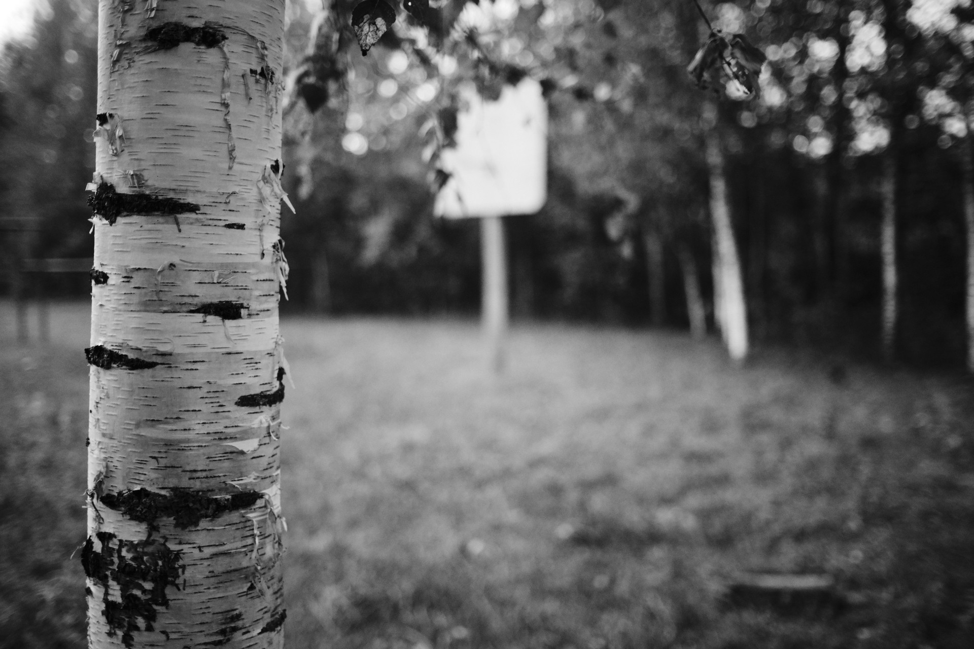 Keep an eye on a rural basketball