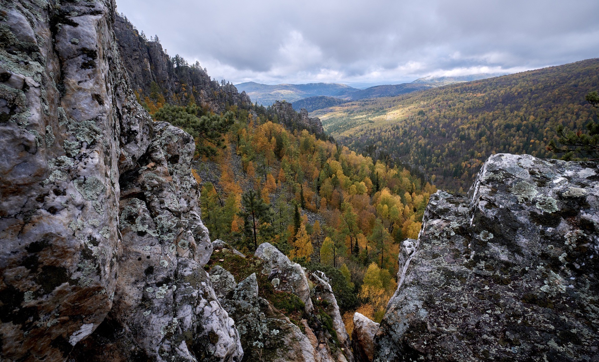 Зубы шурале фото