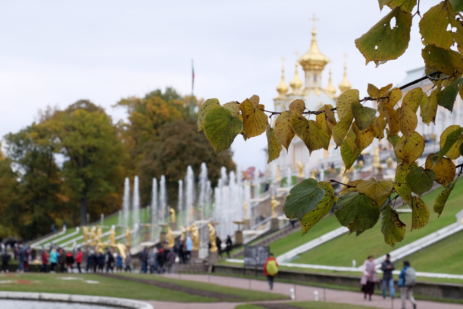 Осень в Петергофе