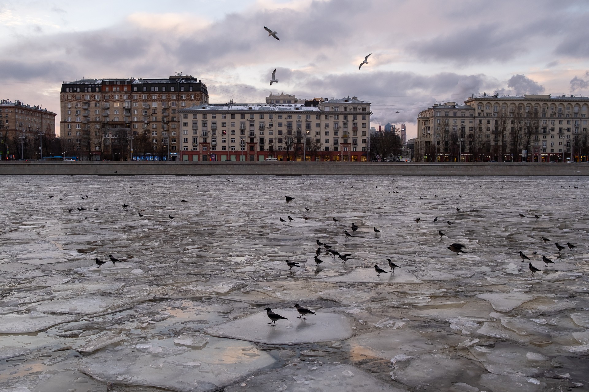 Moscow winter