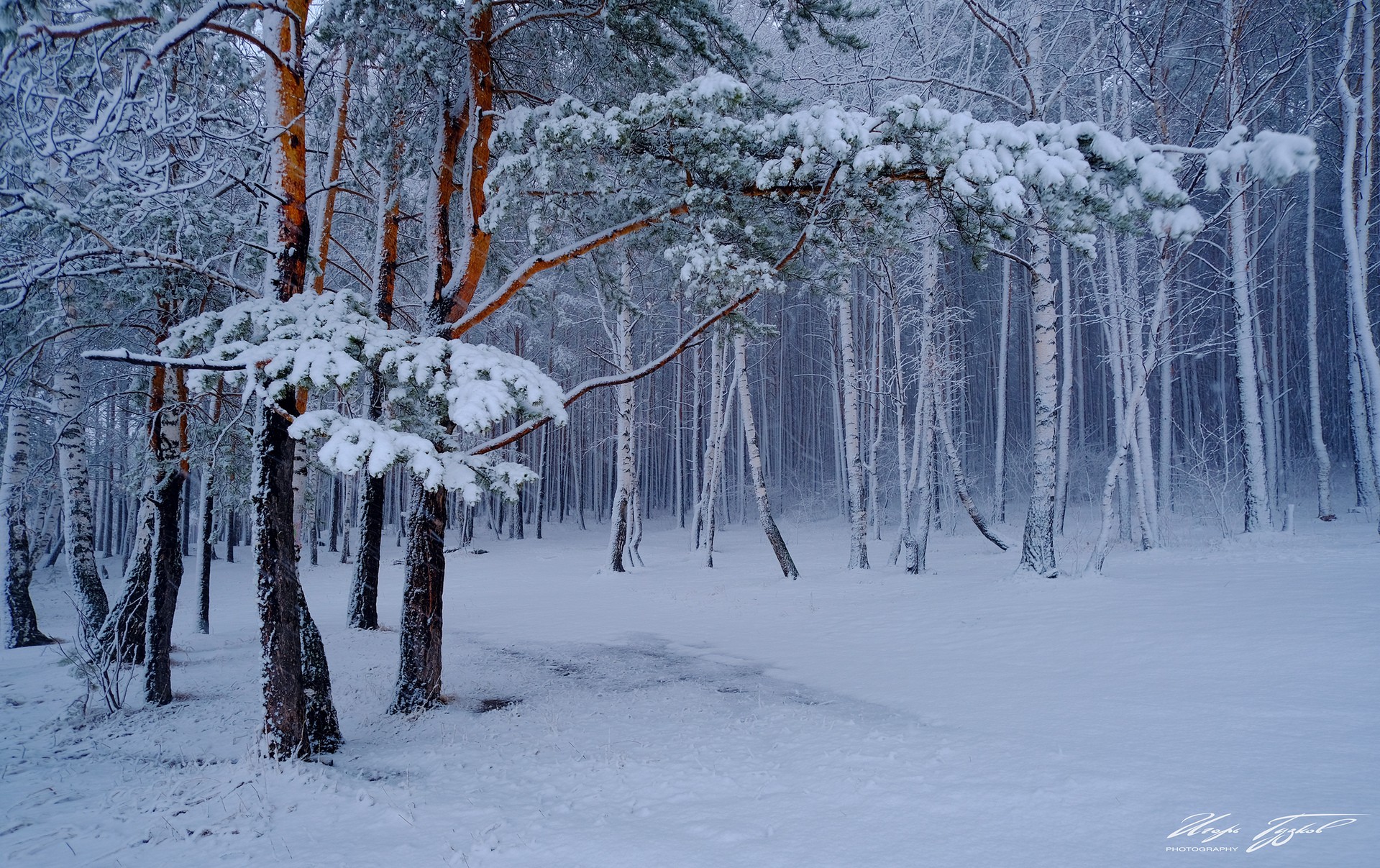 апрель. снег