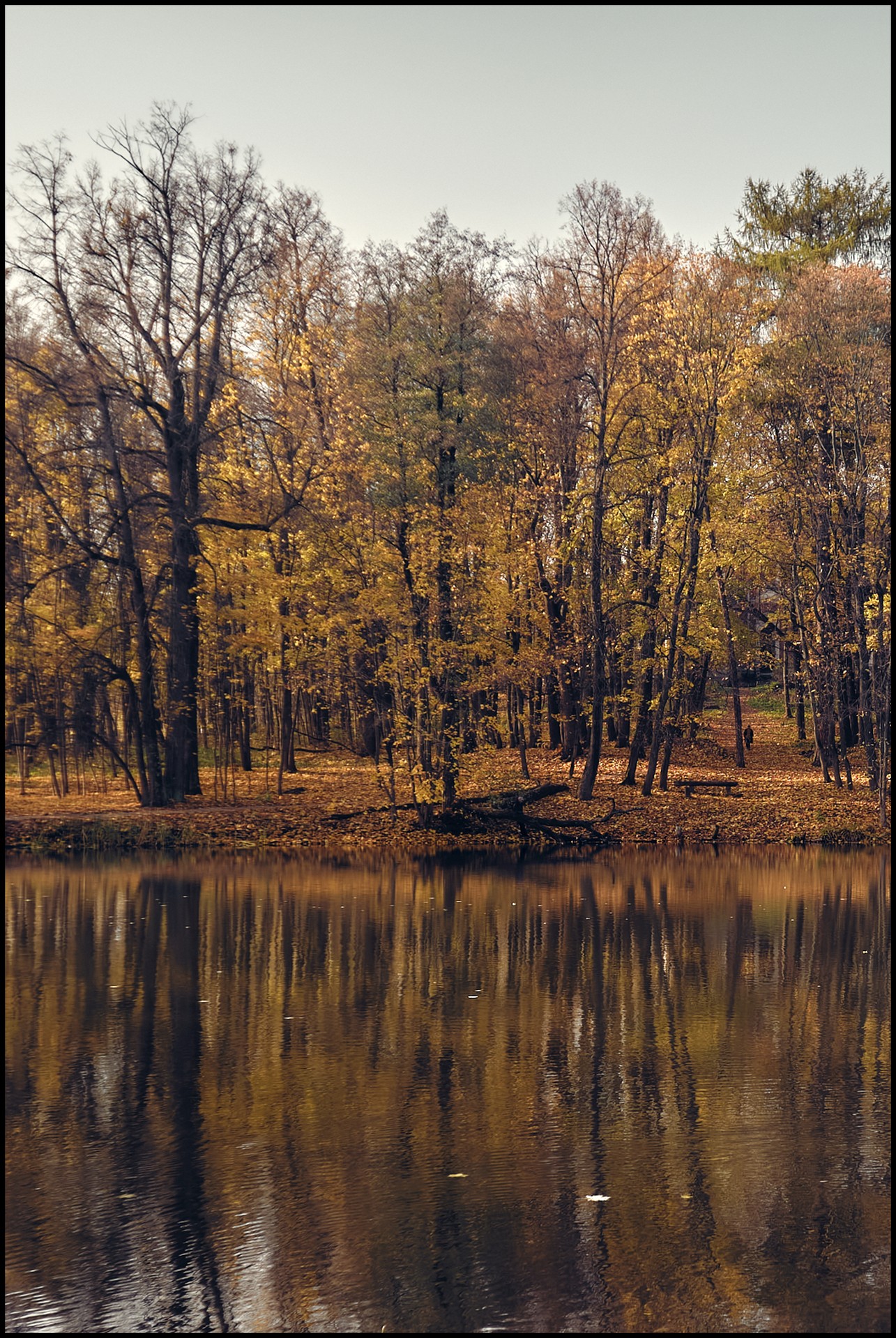 Воронцовский парк. Село Быково. Московская губерния.