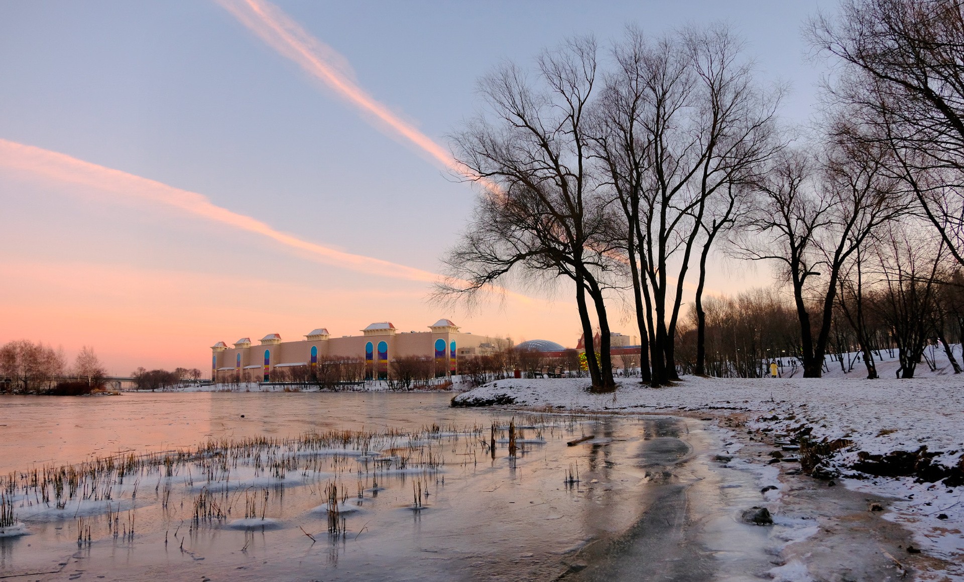 В городском парке