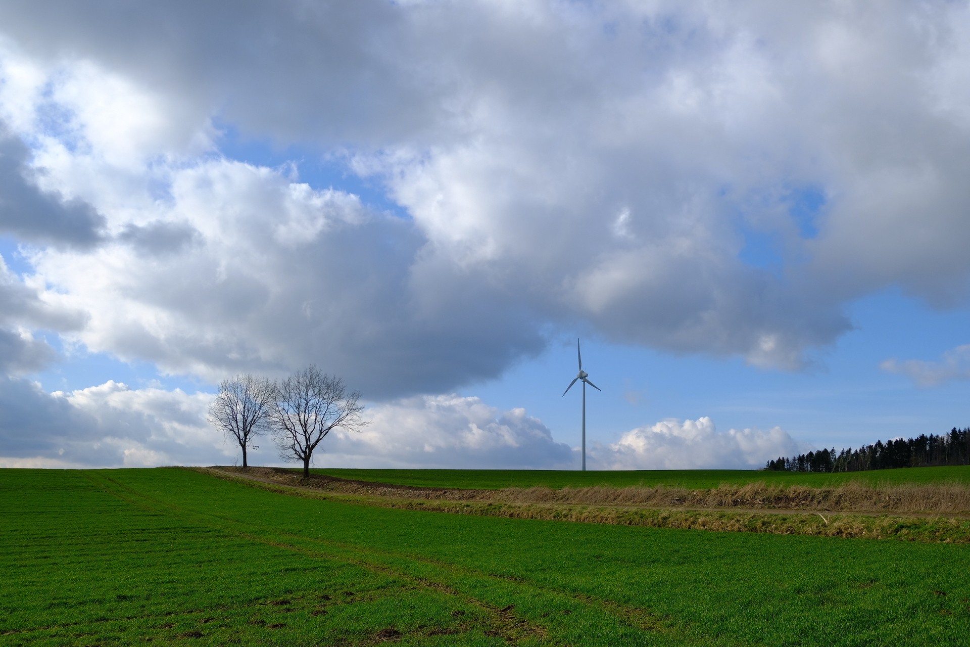 Landschaft