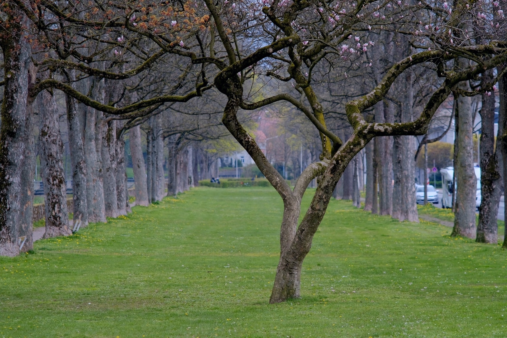 Promenade