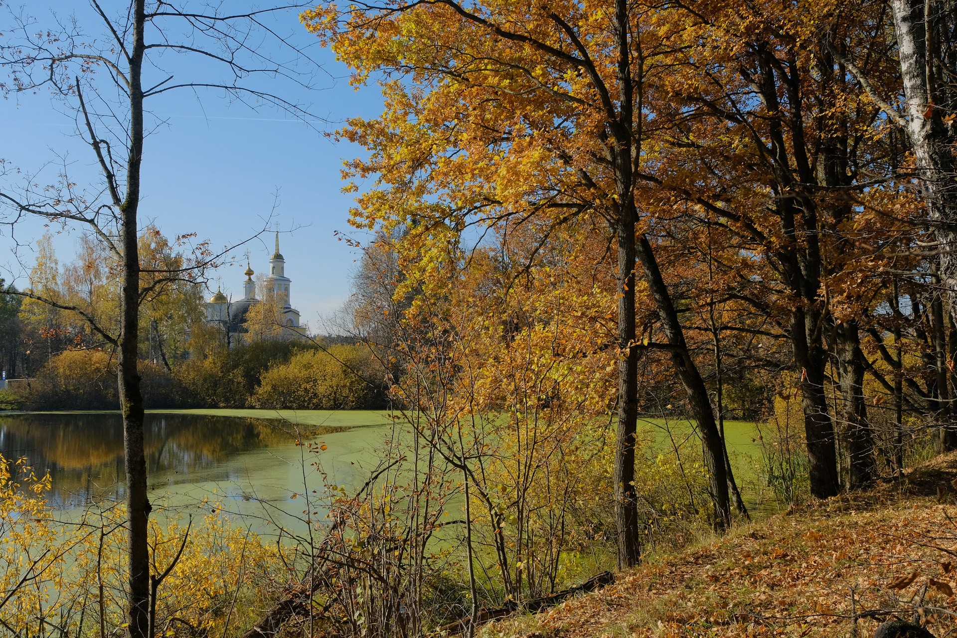 осень