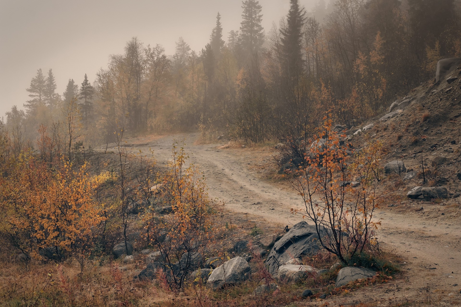 Северная осень