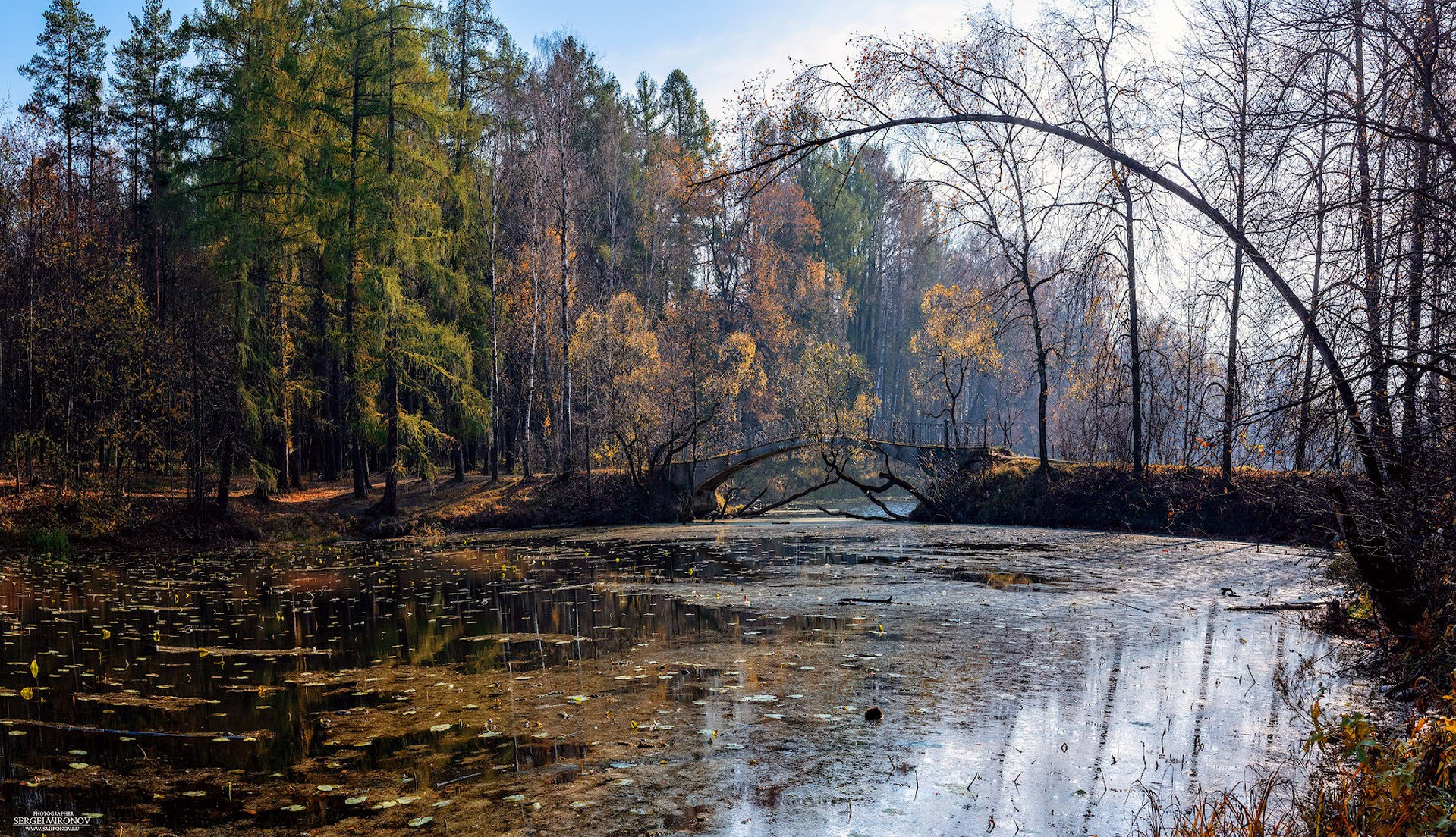 осенний пруд