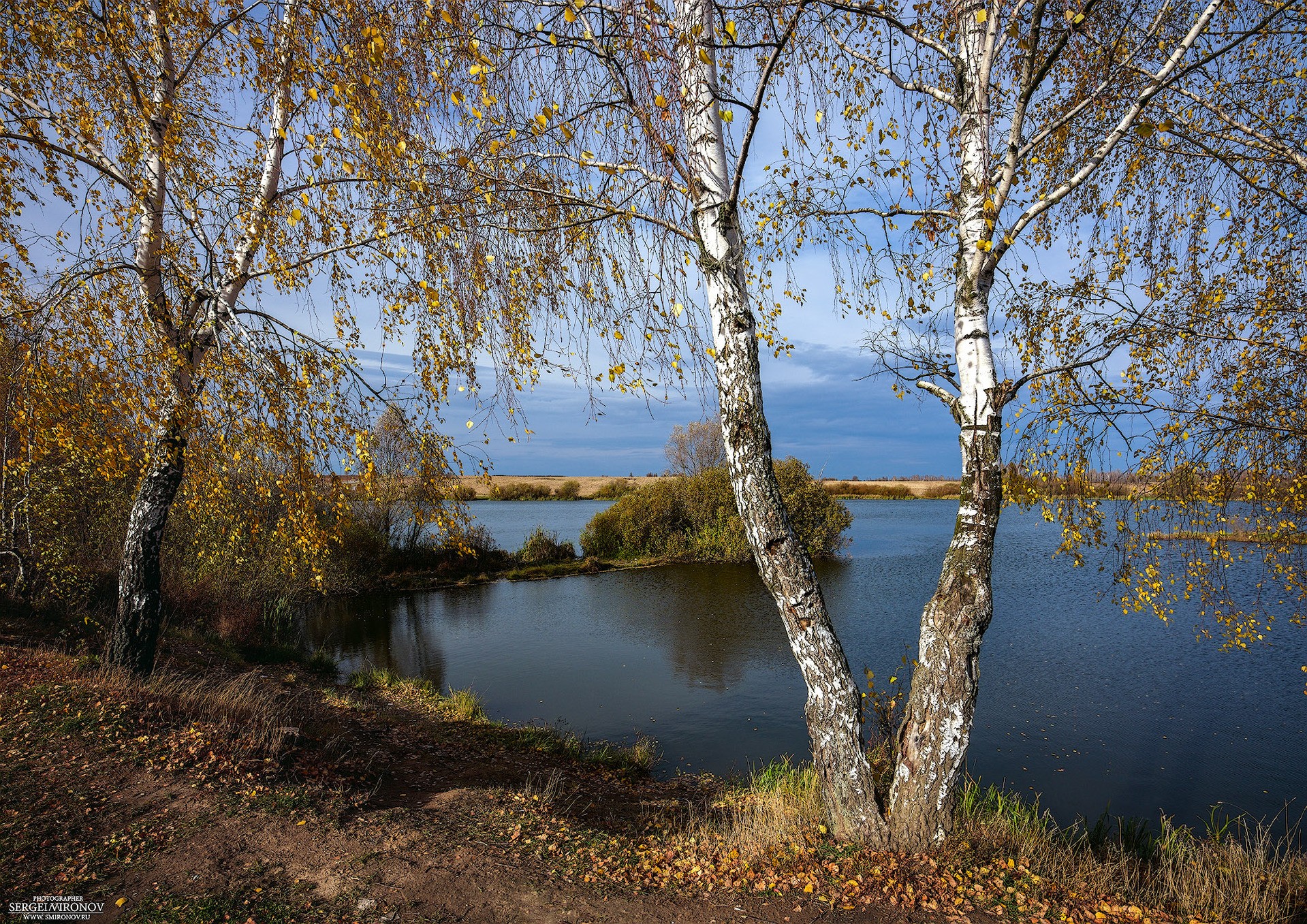 поздняя осень