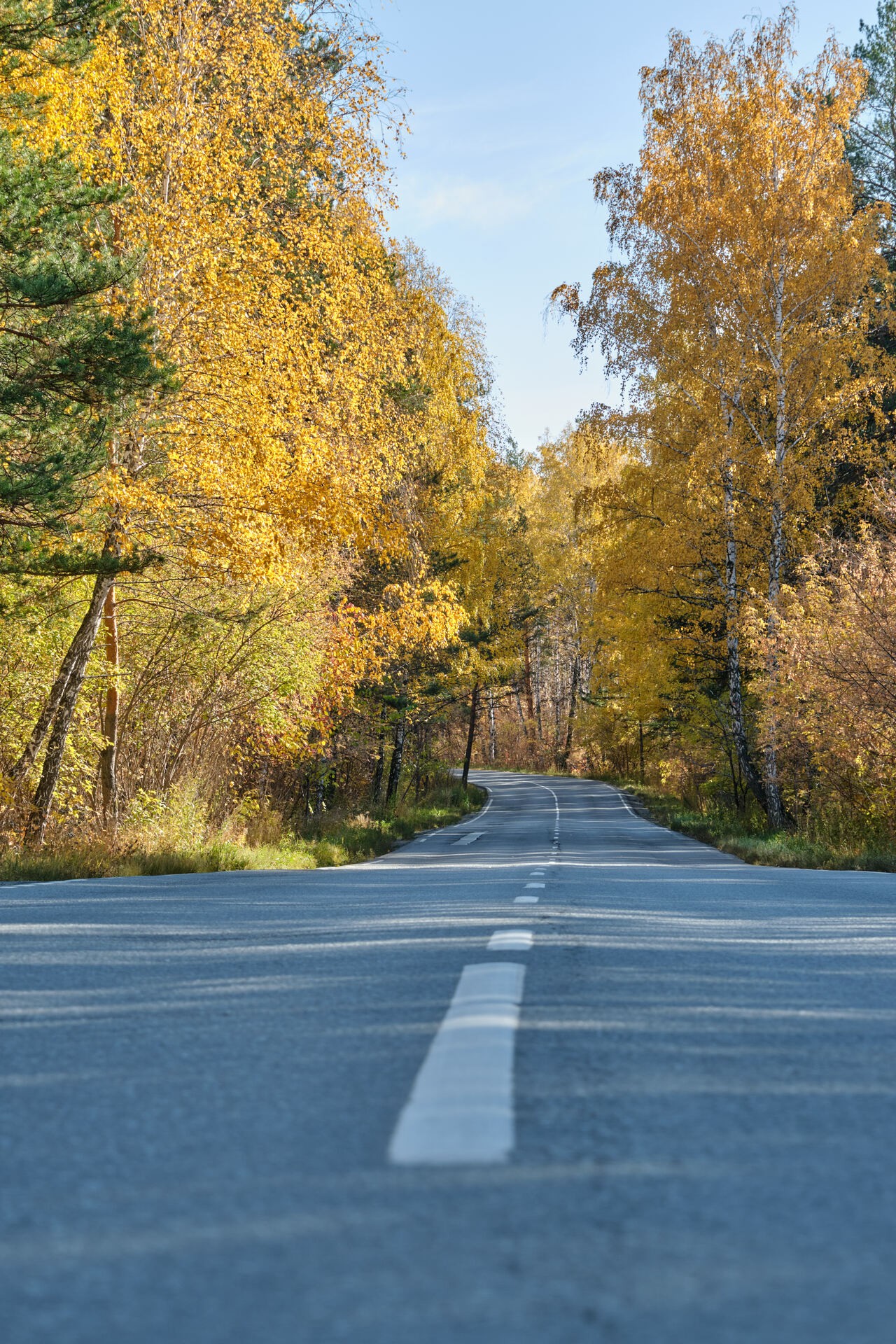 Дорога в осень