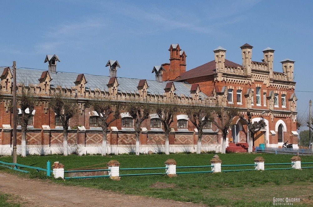 Старожиловский конный завод фото