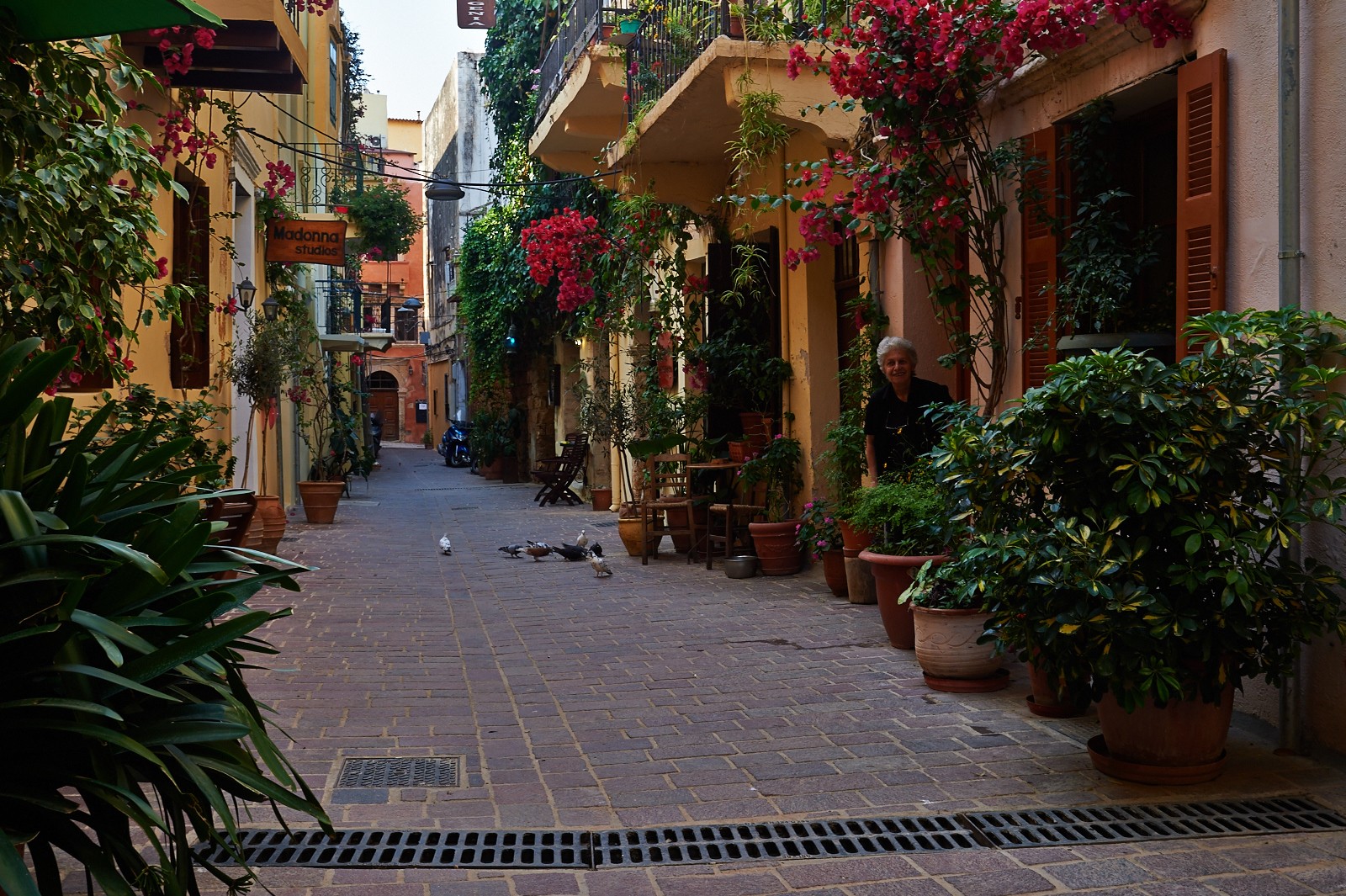 Chania Old City