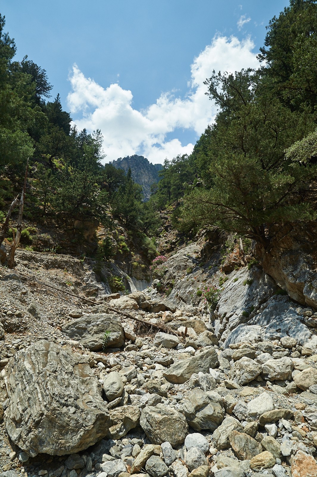 Samaria Gorge