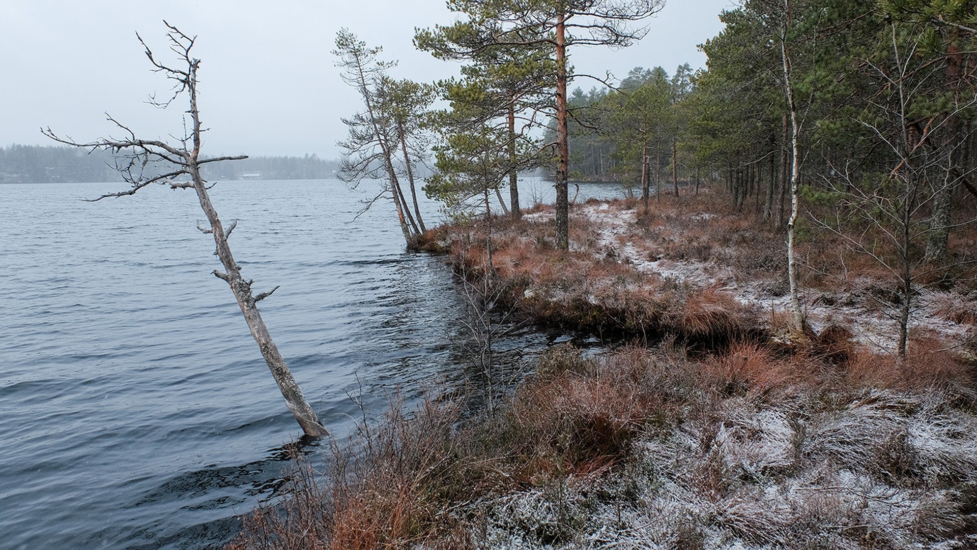 у воды