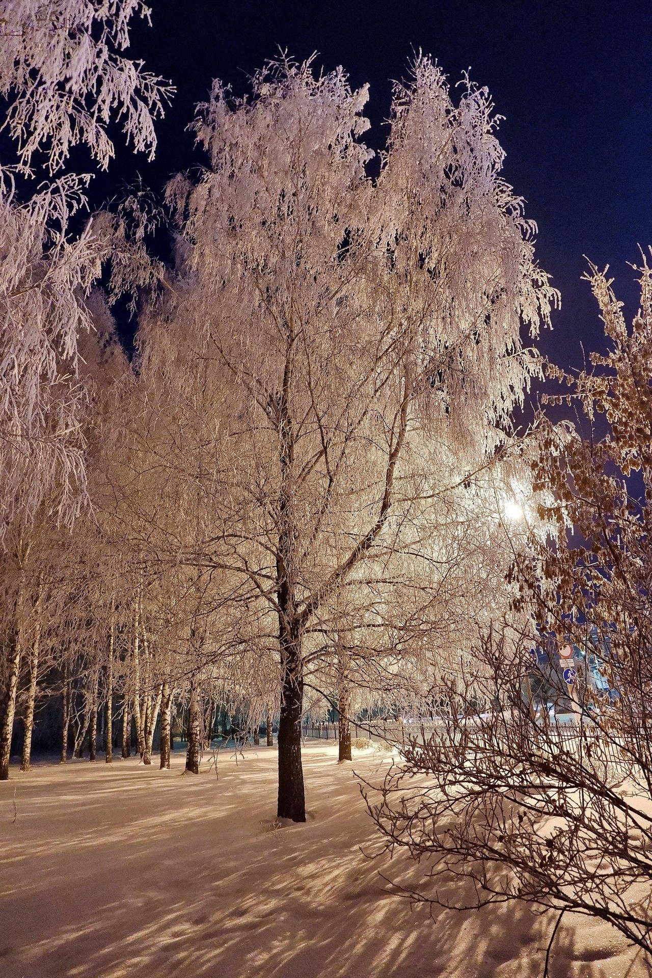 Зимняя сказка утром