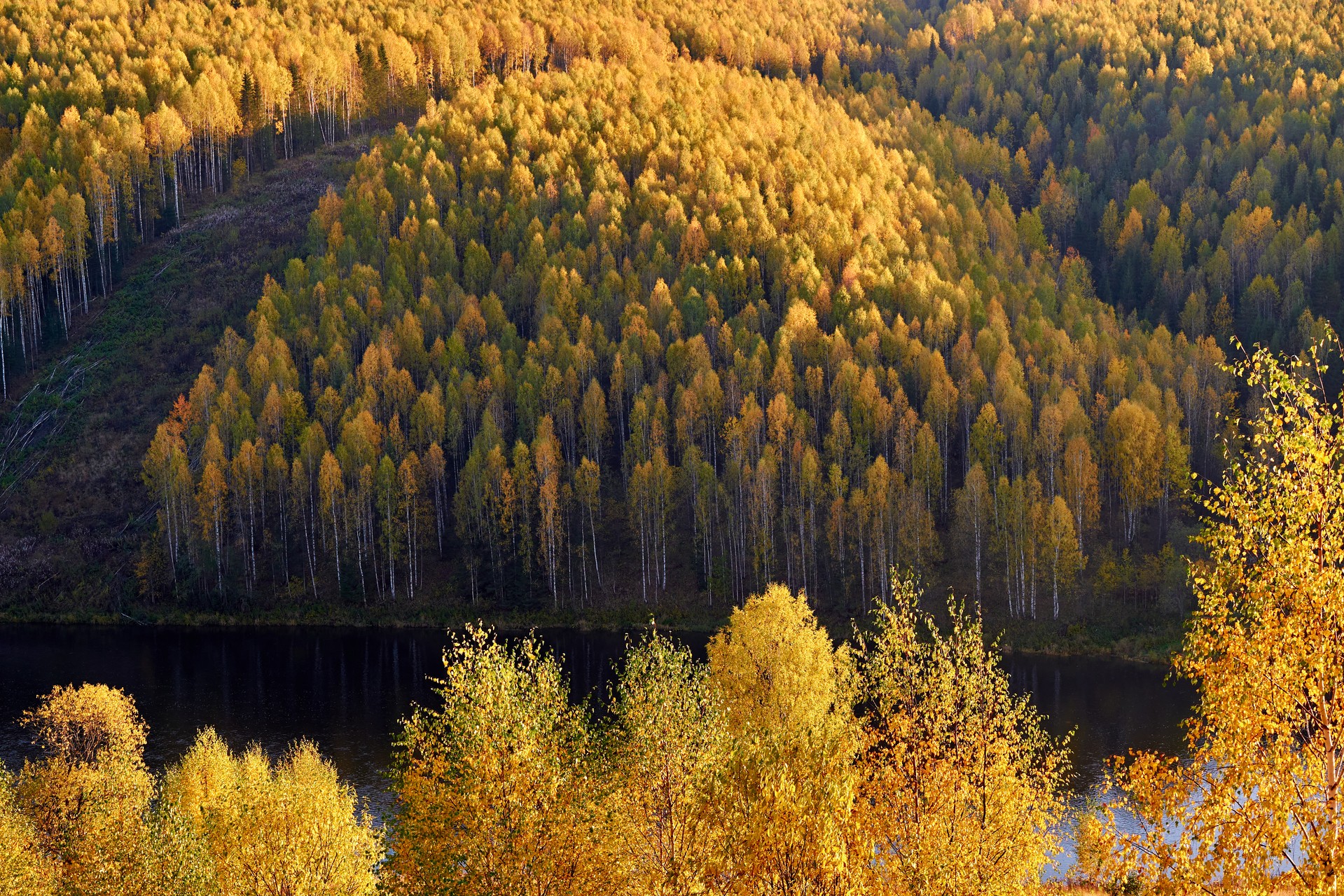 Осень в Пермском крае