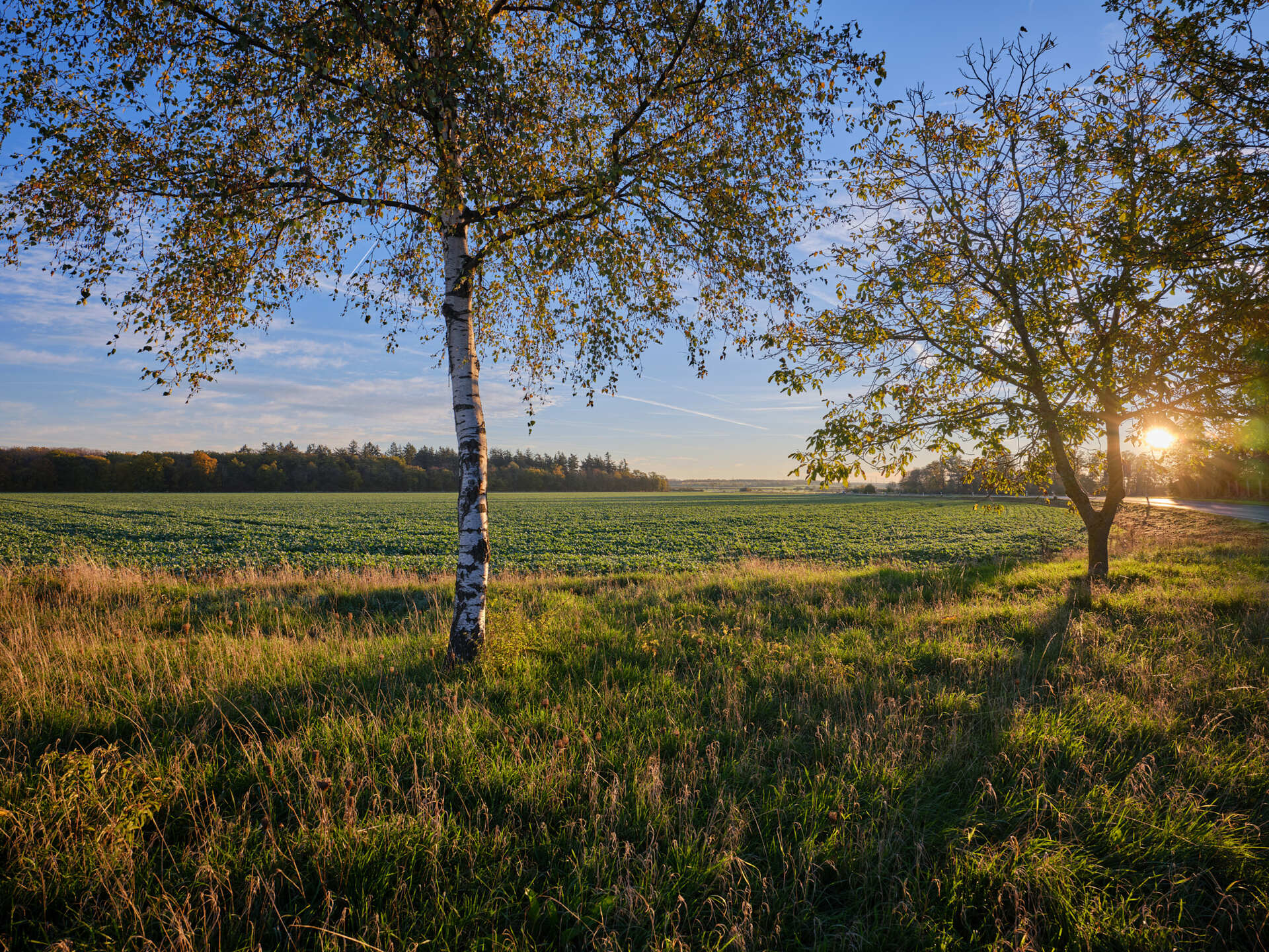 волшебная осень