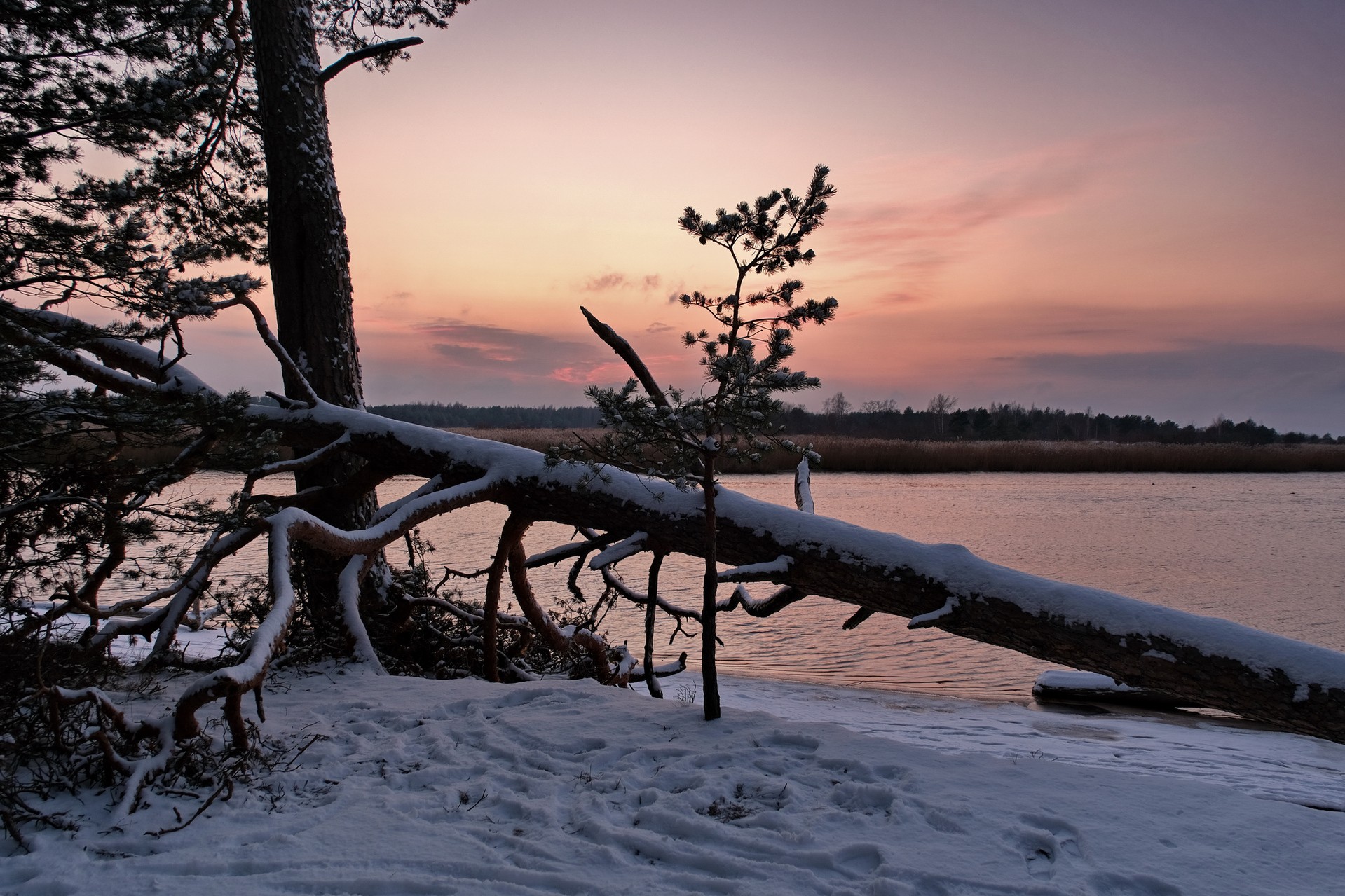 Gauja River 11.2022