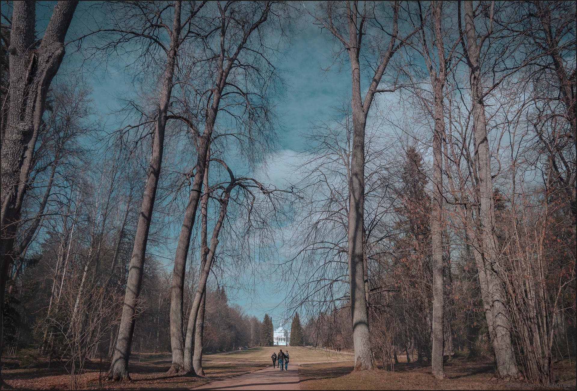 В весеннем парке.