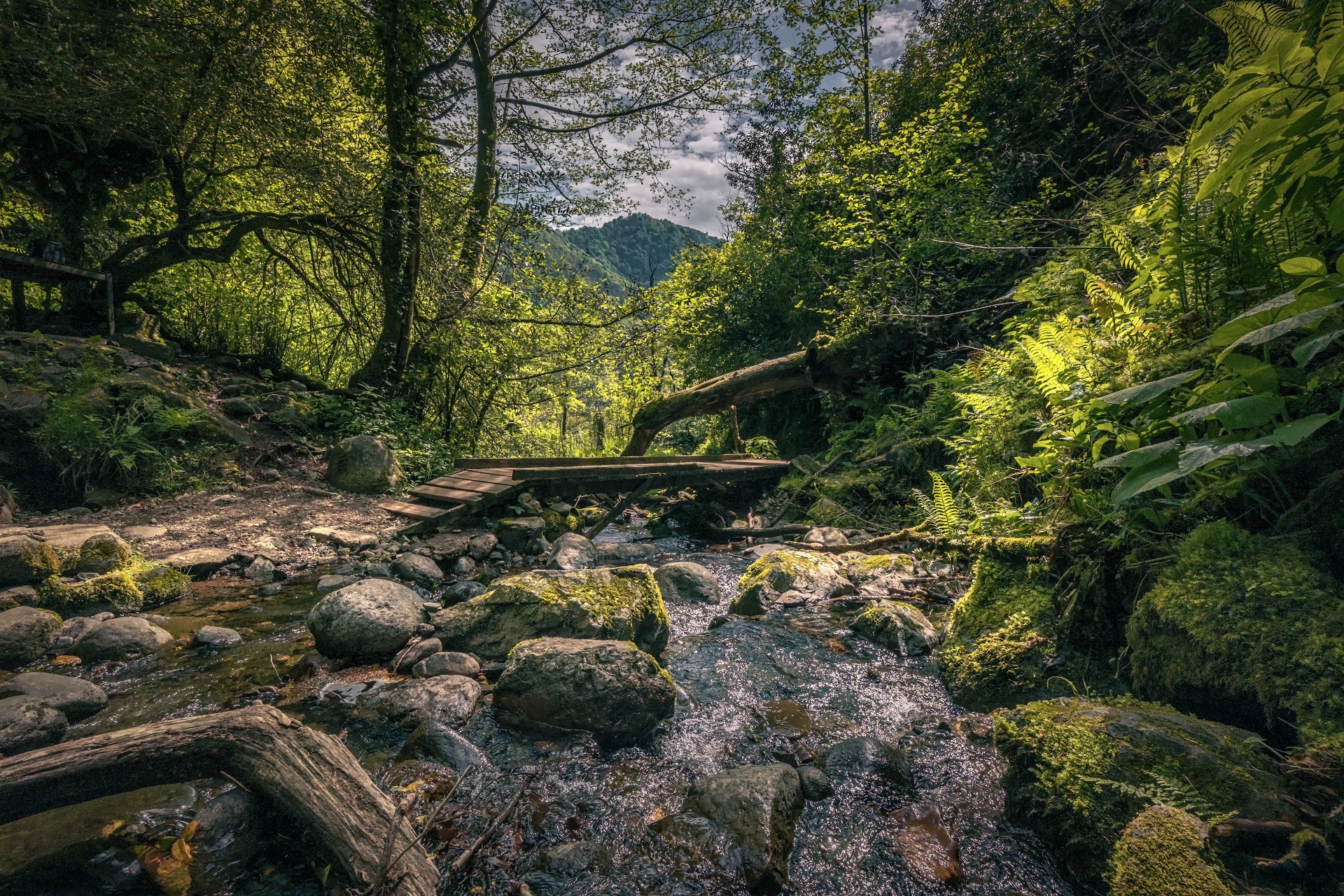 Small Bridge at Mirveti Waterfall