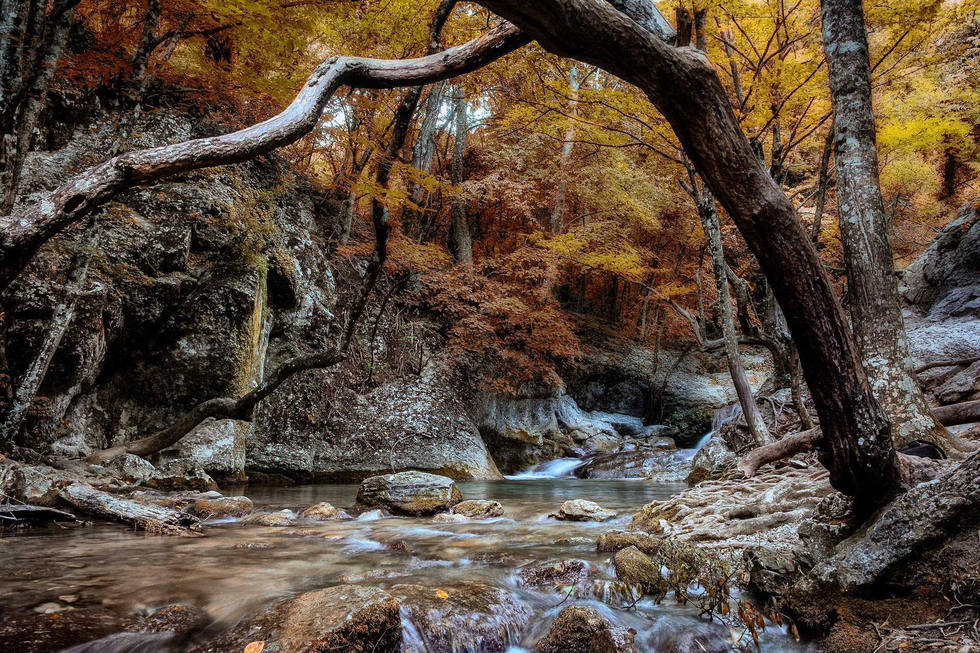 Осенние зарисовки