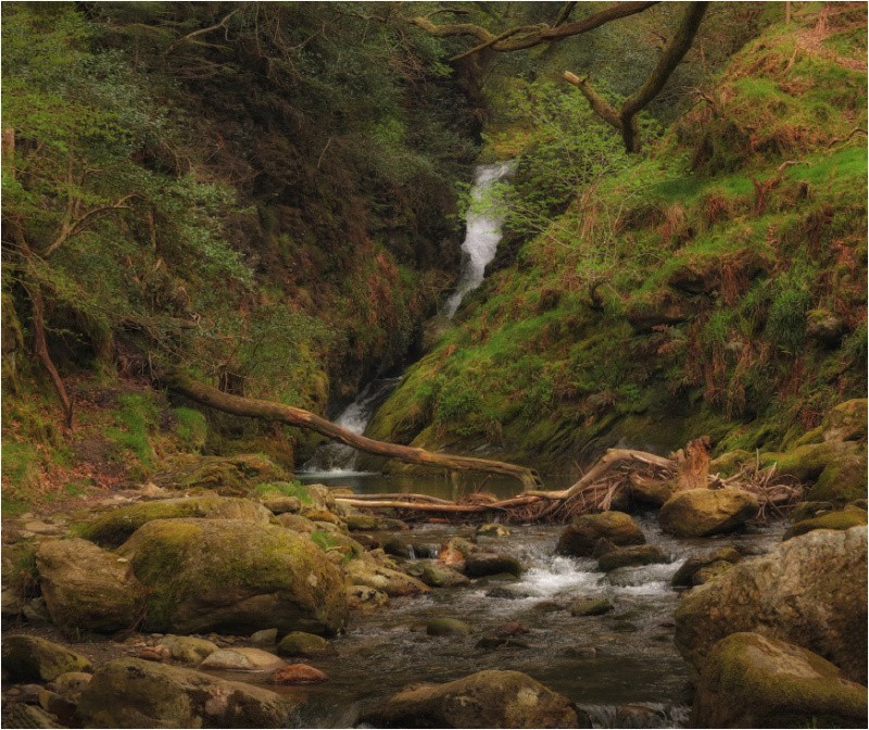 ...Glendalough streams...